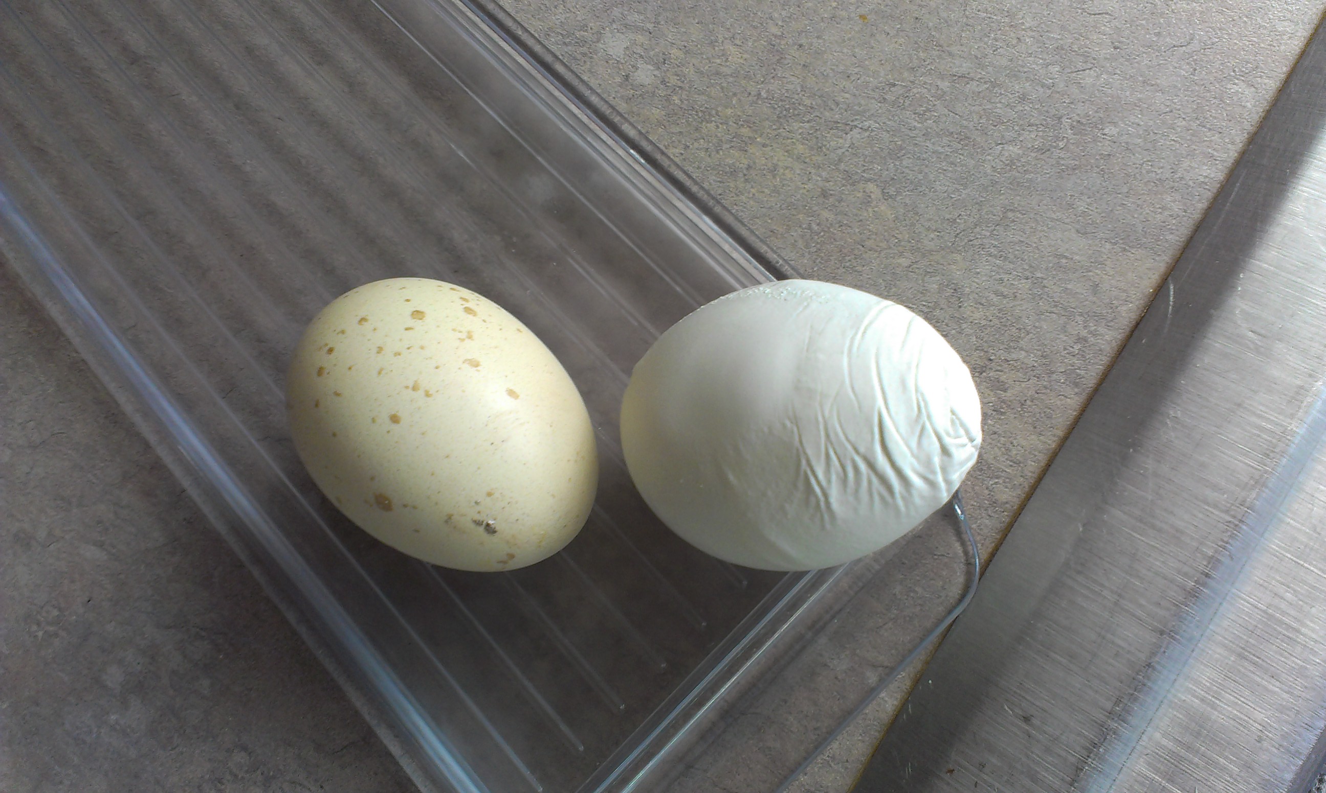 Our Easter Egger lays some weird eggs