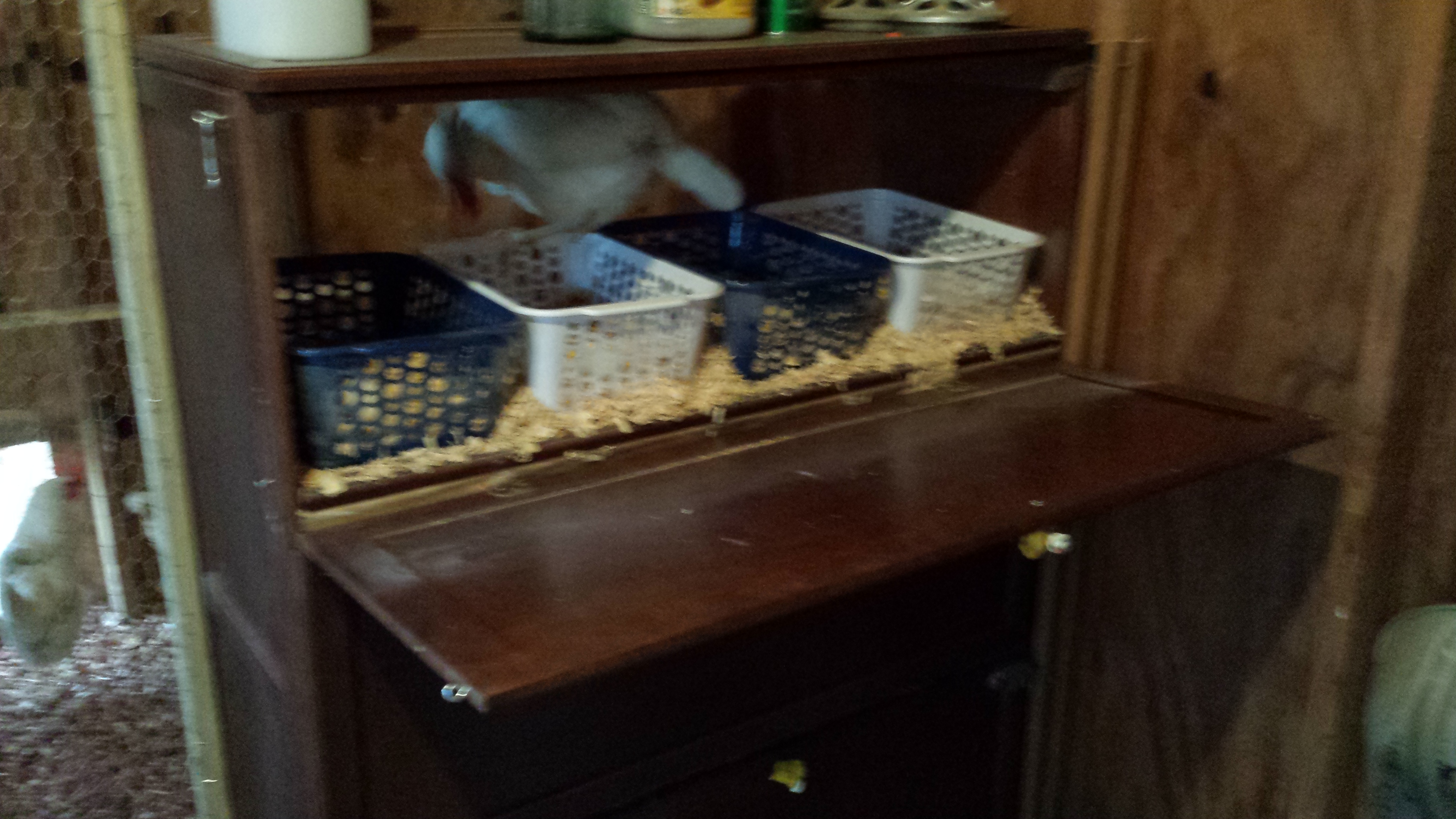Our egg cabinet that houses 12 nesting baskets--the wooden panels were purchased for $1 each at Habitat Restore--assembled with additional supports and screws--minimal effort--adding hinges.  The front is open for access.  The baskets were from the Dollar Store.