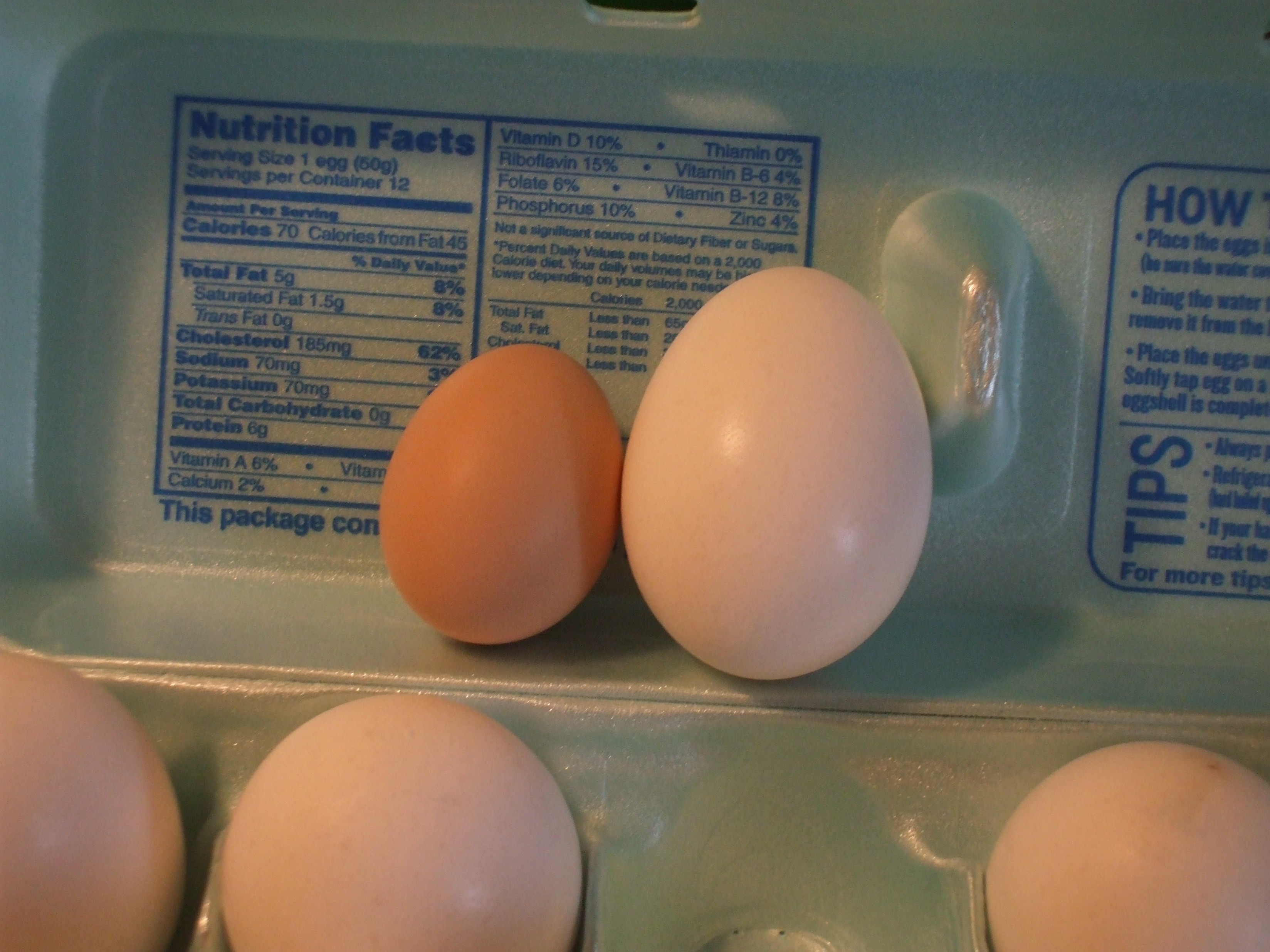 Our egg compared to a store large egg..