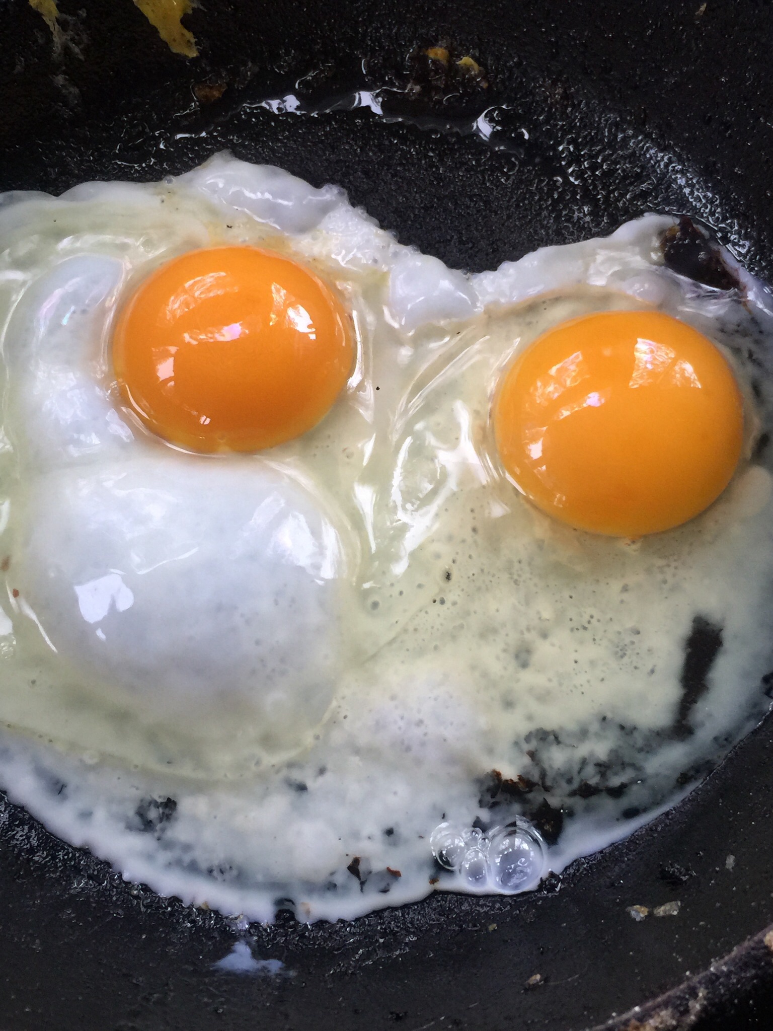 Our egg on the left and the most expensive eggs at WF, comparison.