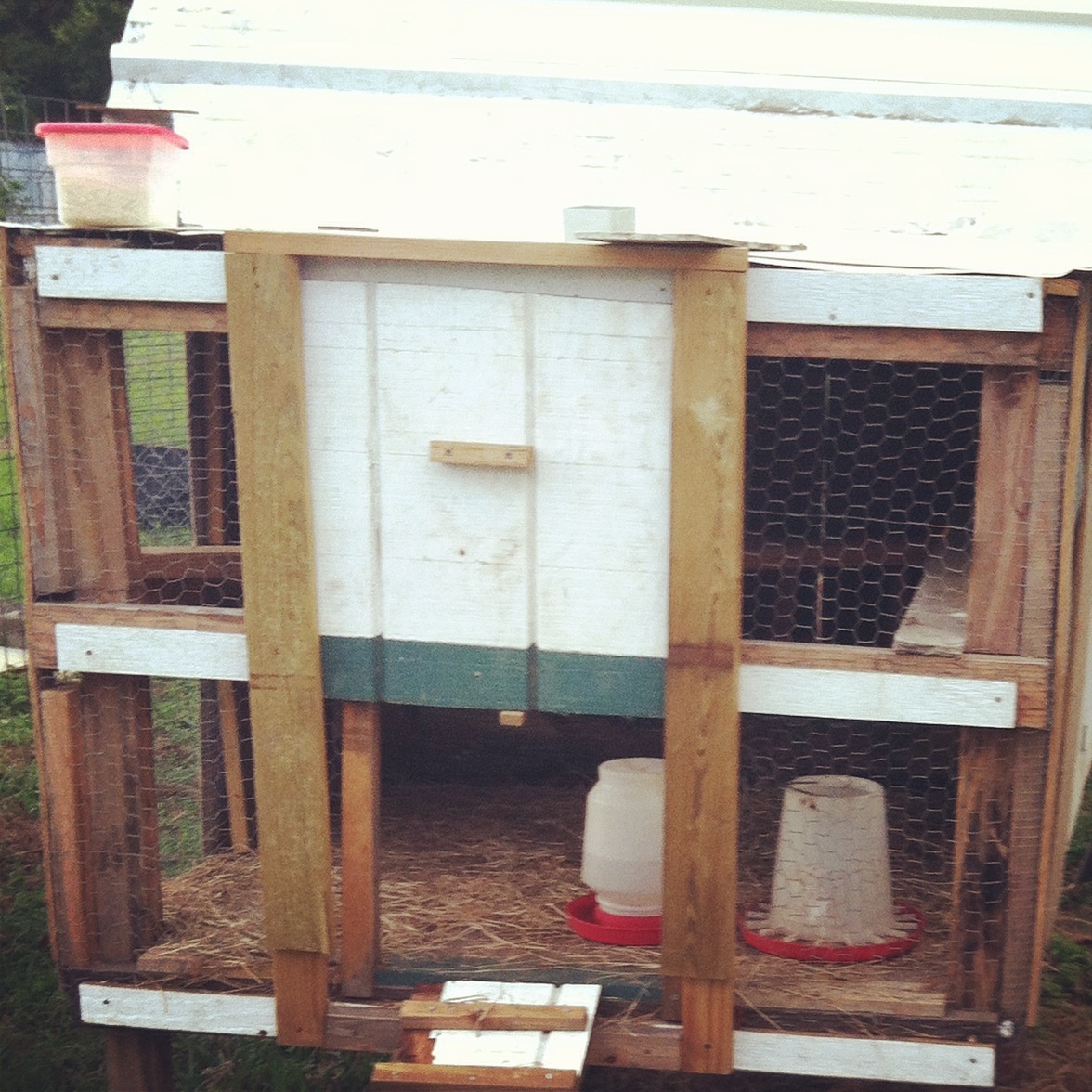 Our first chicken coop