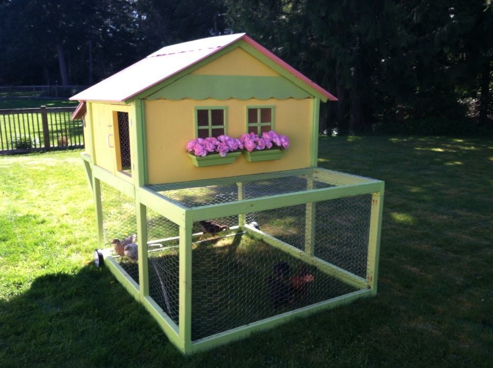 *Our first chicken tractor