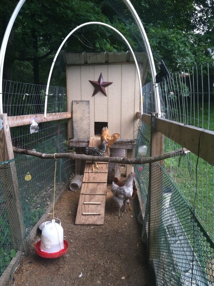Our first coop and run for our oldest 6 girls