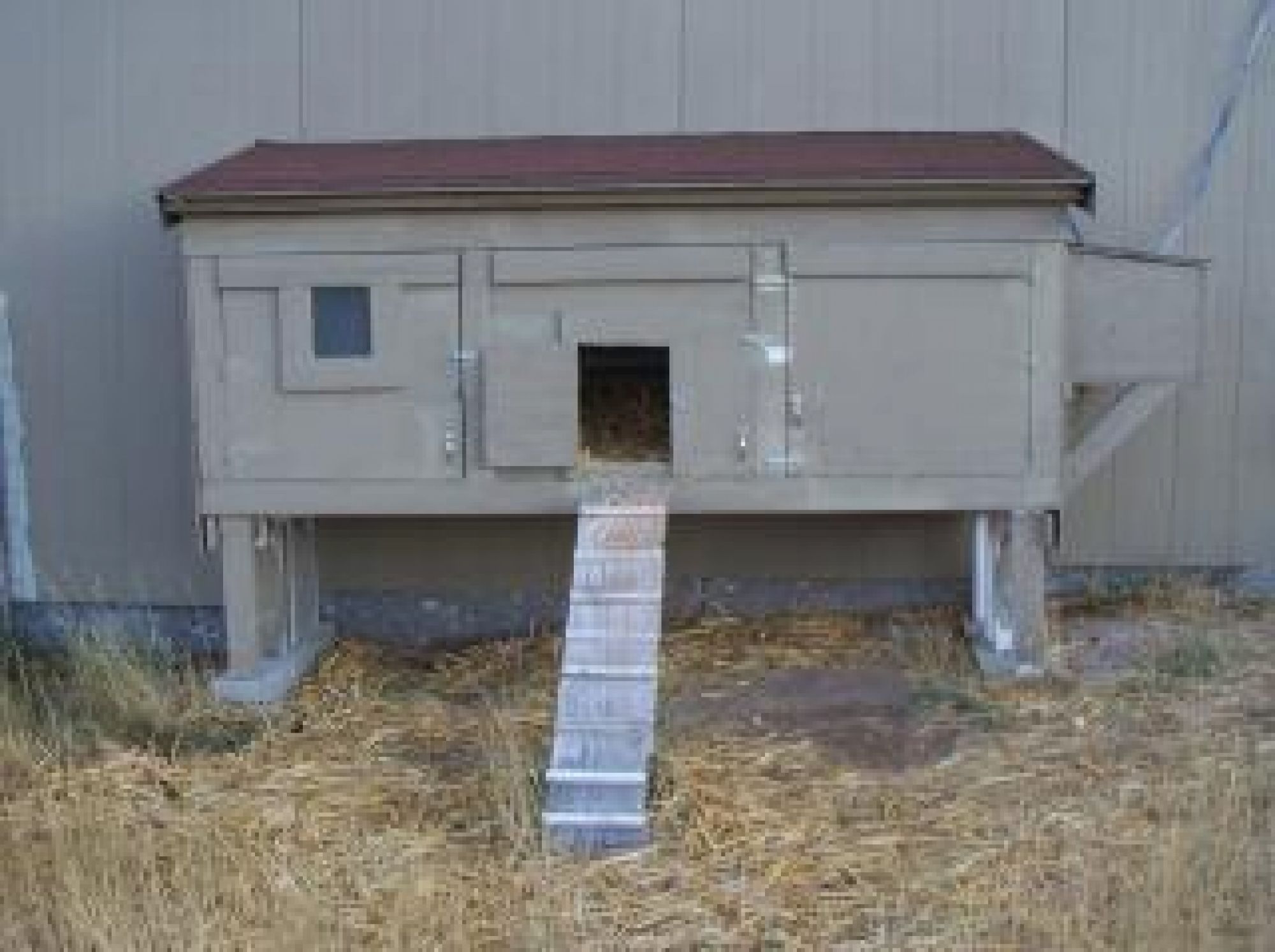 Our first coop, long since gone and now used by some one else.   We wanted more birds and this would no longer do.