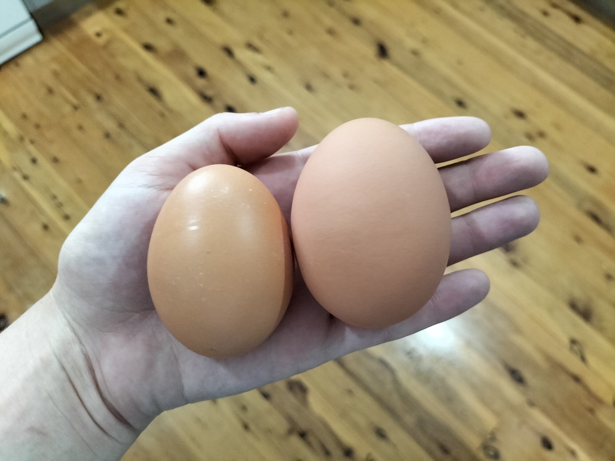 Our first double yoker!
