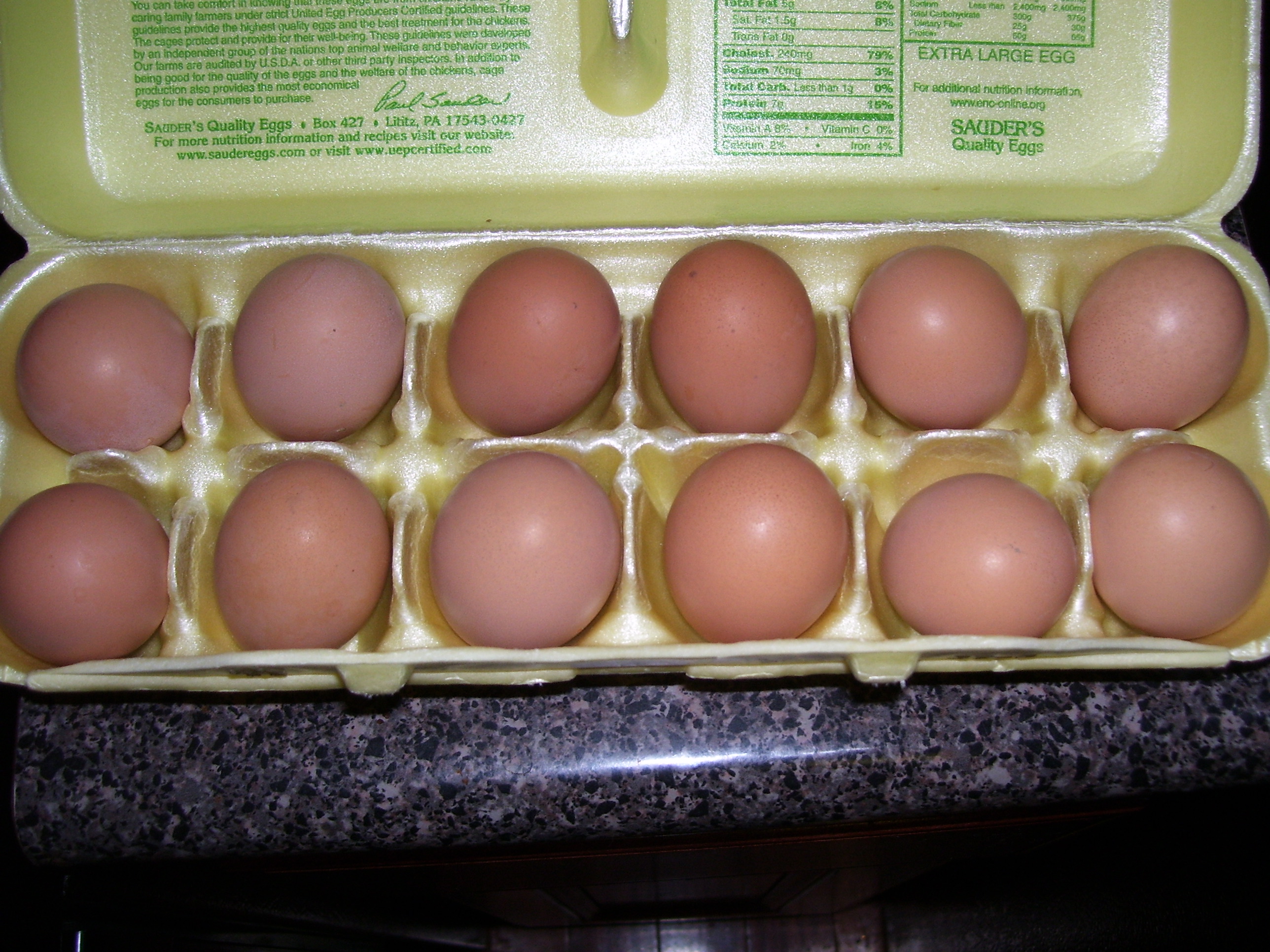 our first dozen eggs : >