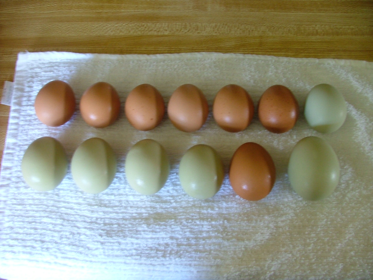 Our first dozen