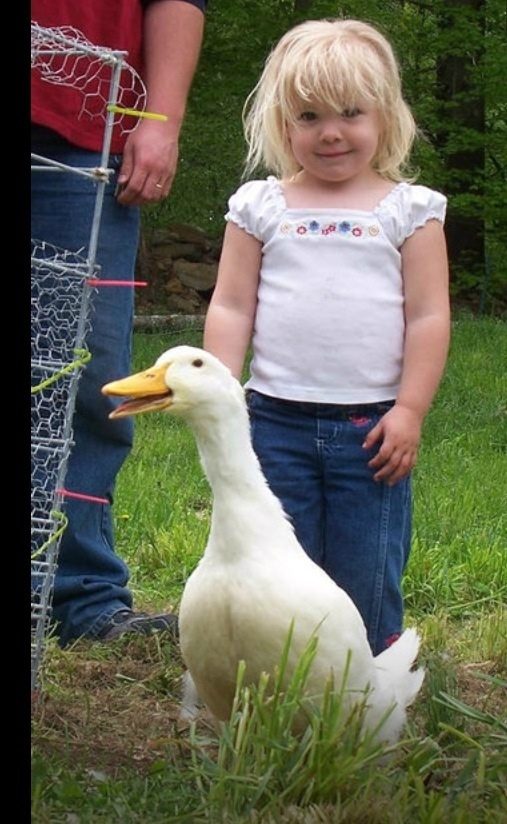 Our first duck "Popcorn" in 2006 RIP