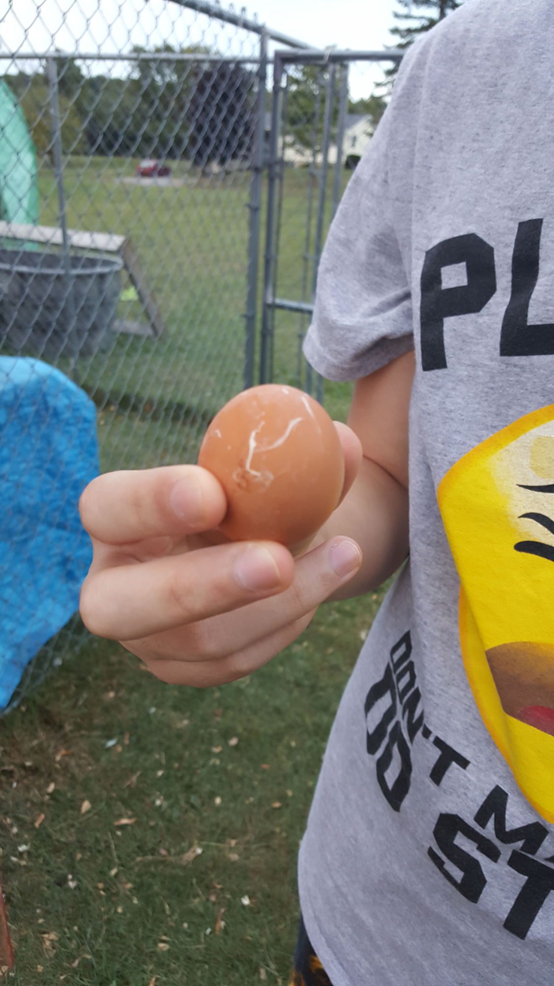 Our first egg!!!  21 Weeks!!