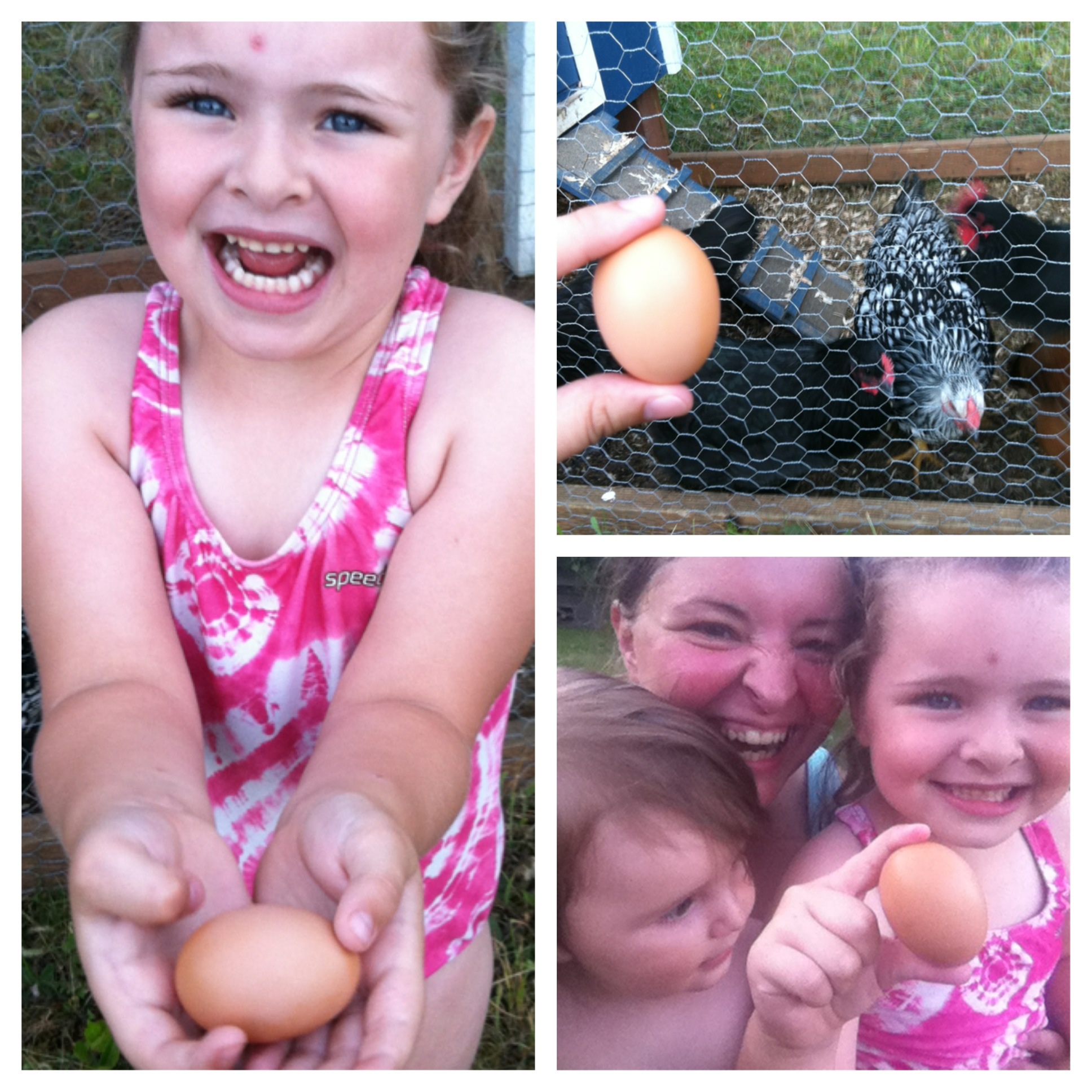 OUR FIRST EGG!! 7/31/2014