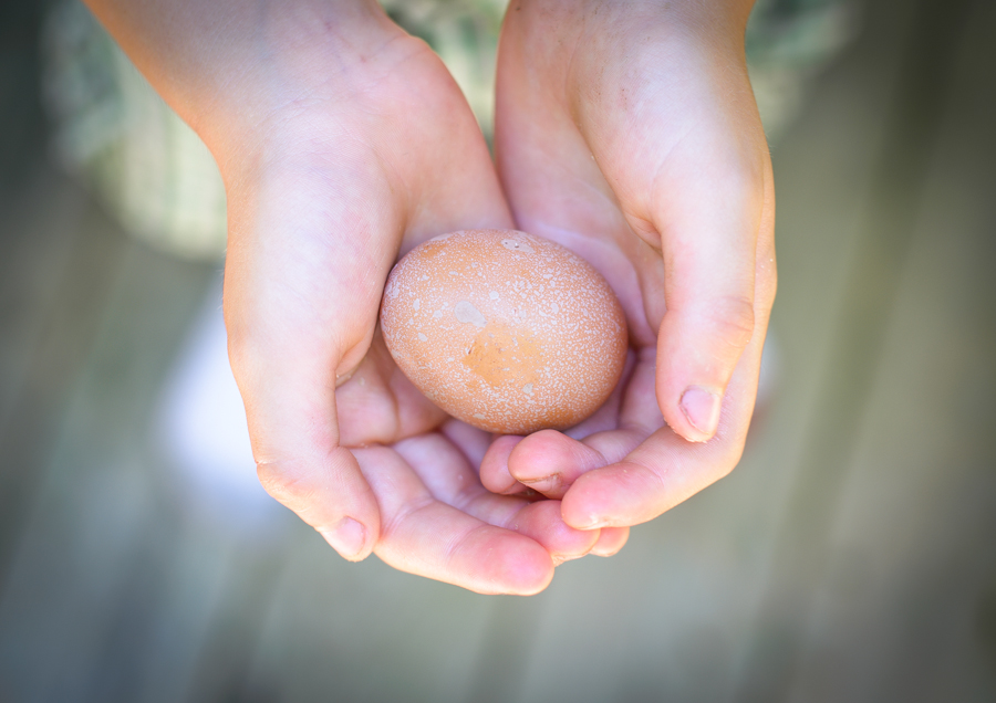 Our first egg!  I guess they didn't quite like the nesting boxes I made as this was found in our garage!