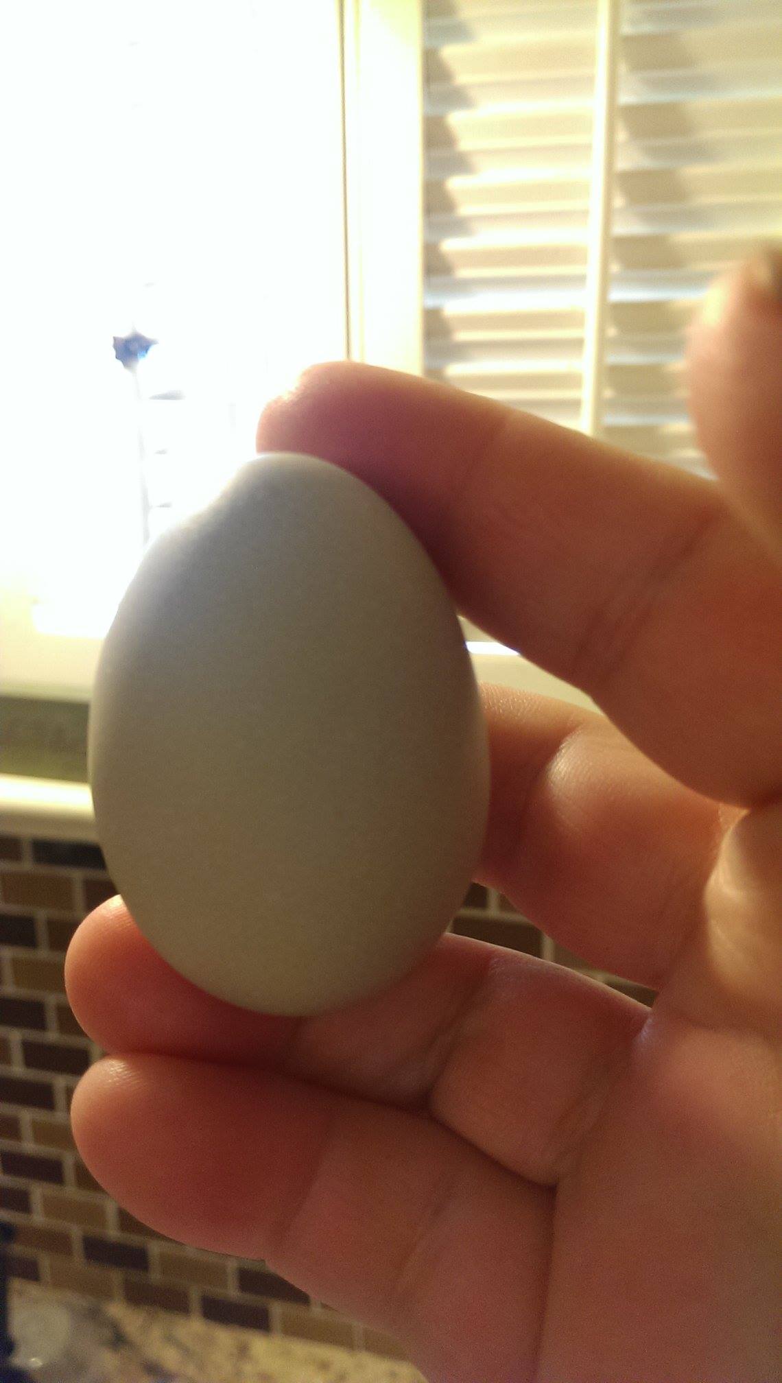 Our first egg, it is an olive color and was presented to us by our Americauna who I am learning is actually an Olive Egger :D  so exciting