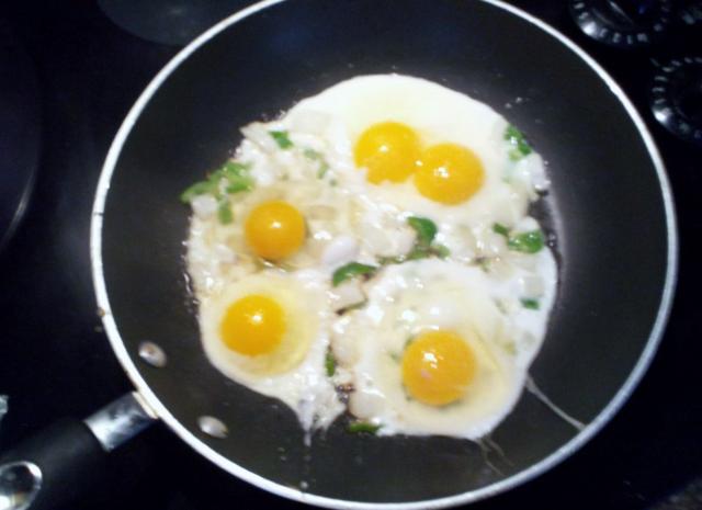 Our first eggs.  Many of them were double yolkers.