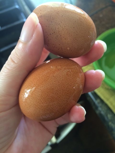 Our first eggs!