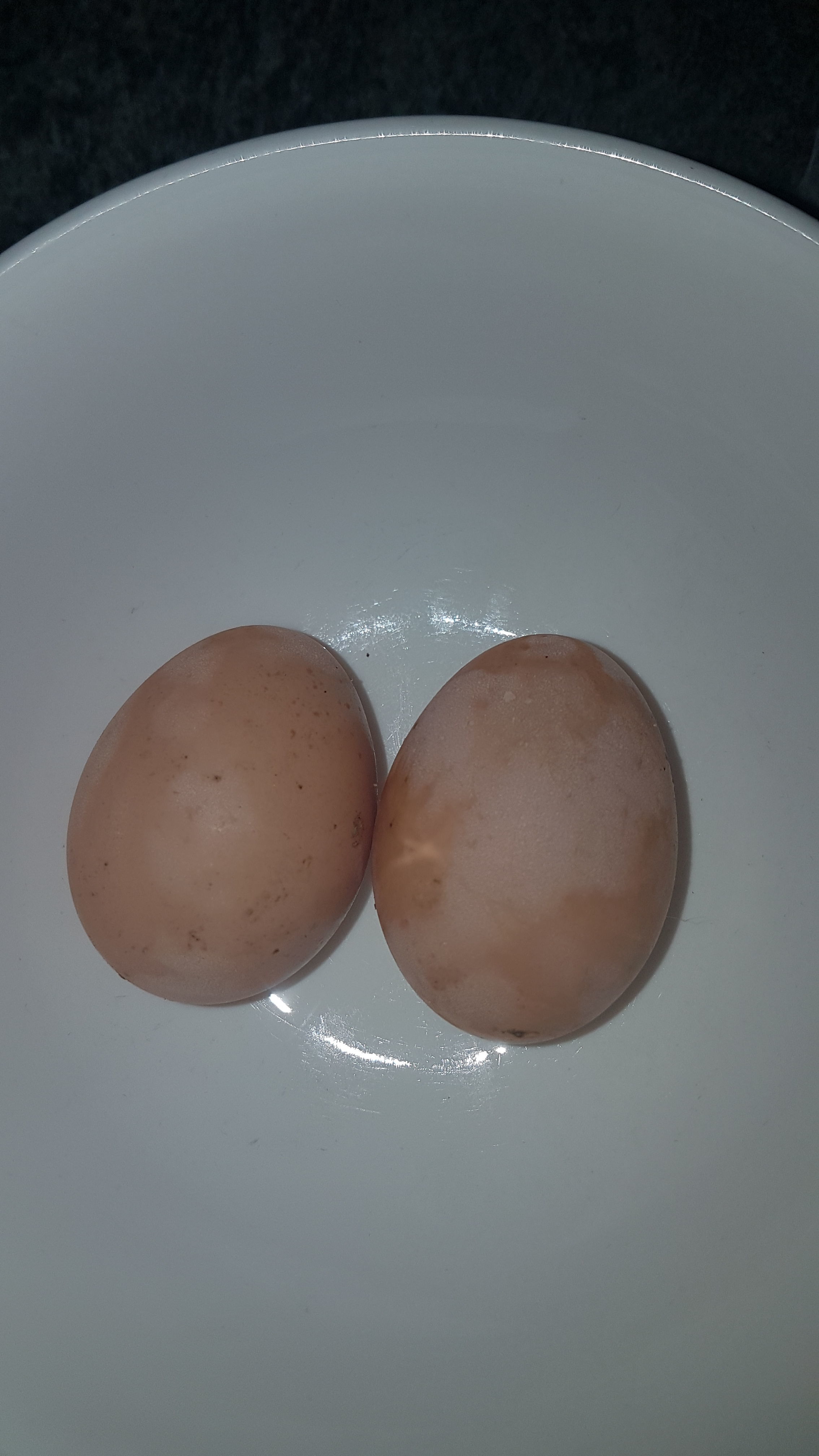 Our first eggs.