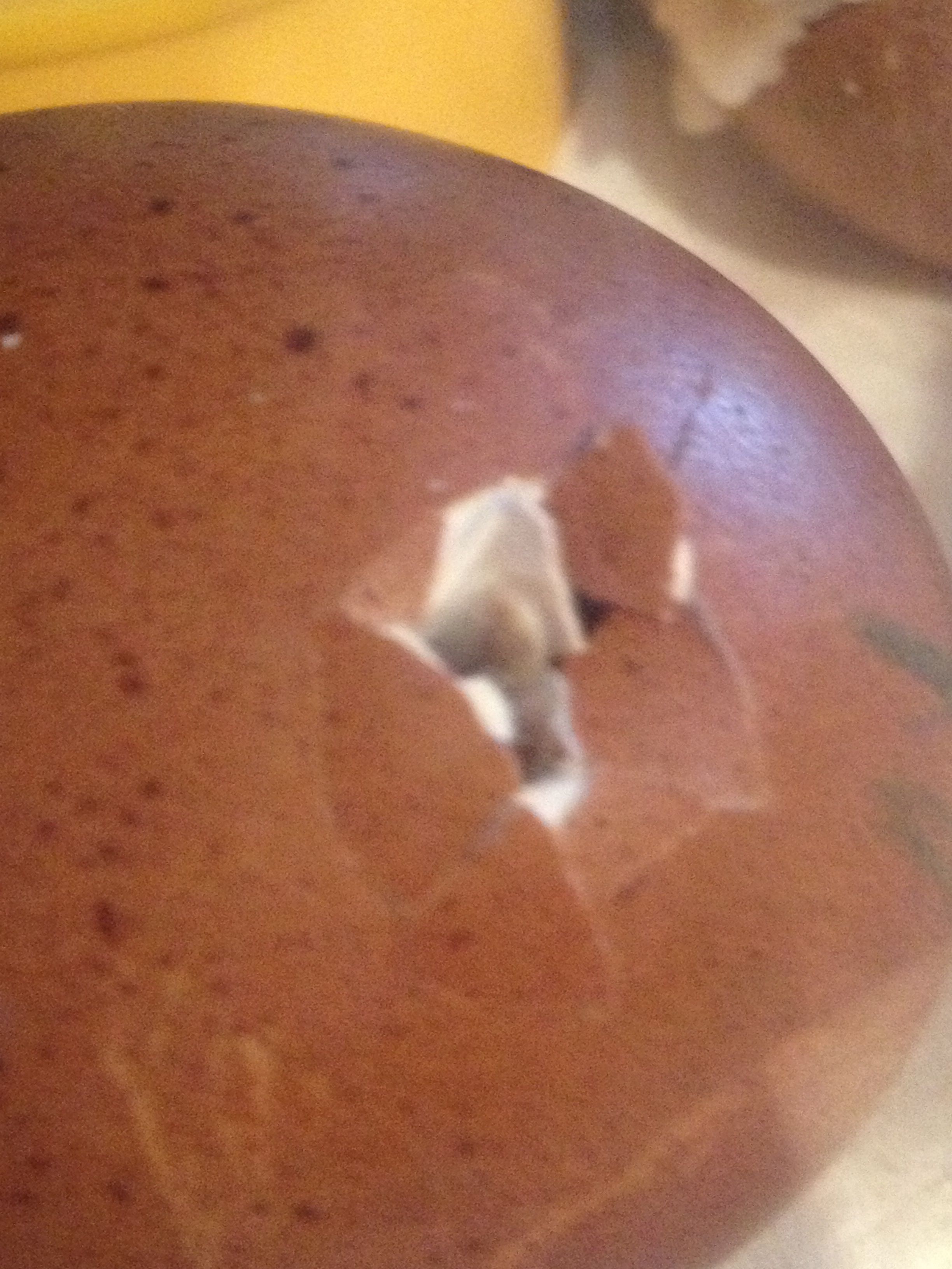 Our first hatching egg!!!