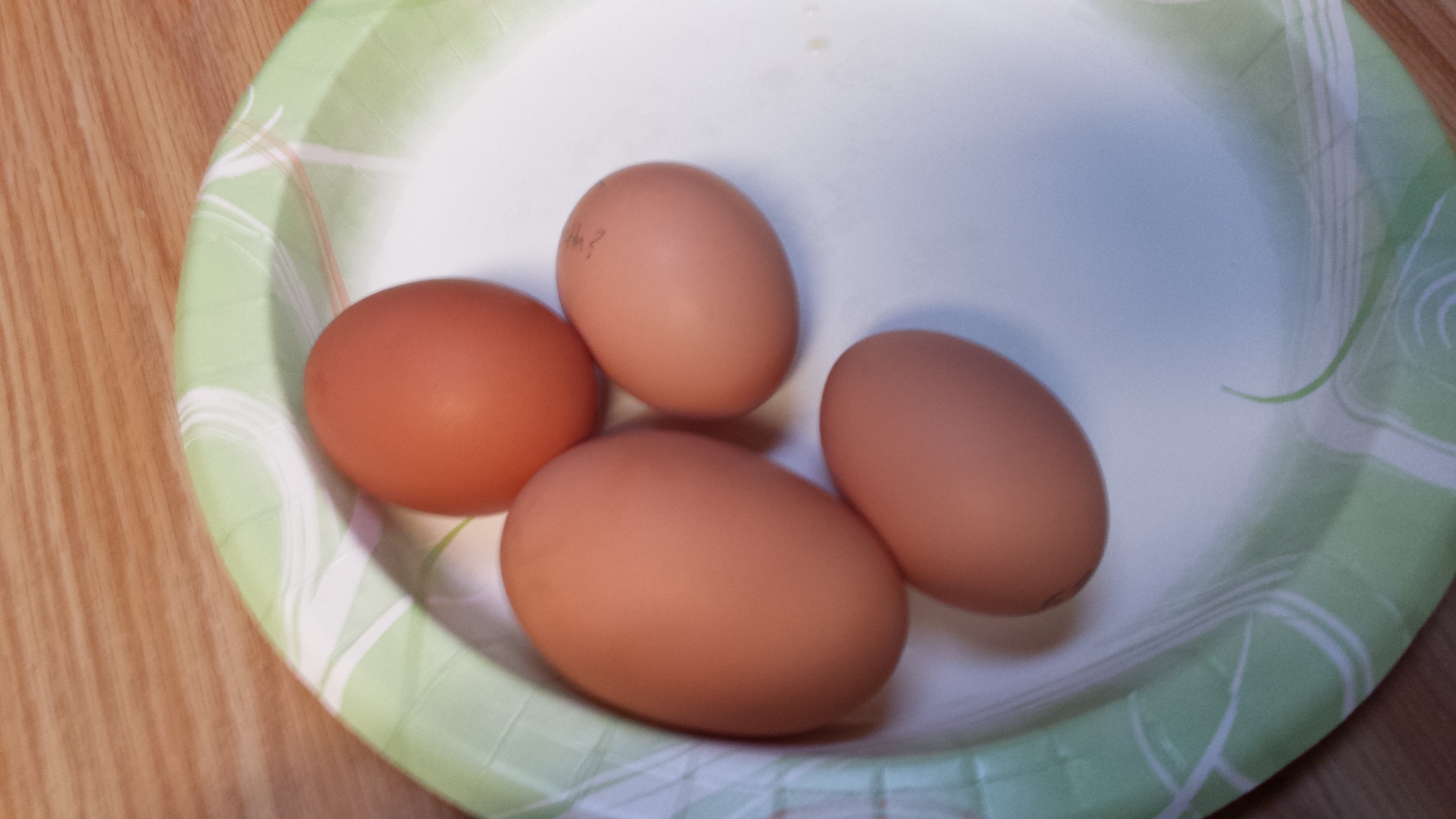 Our first supersized egg