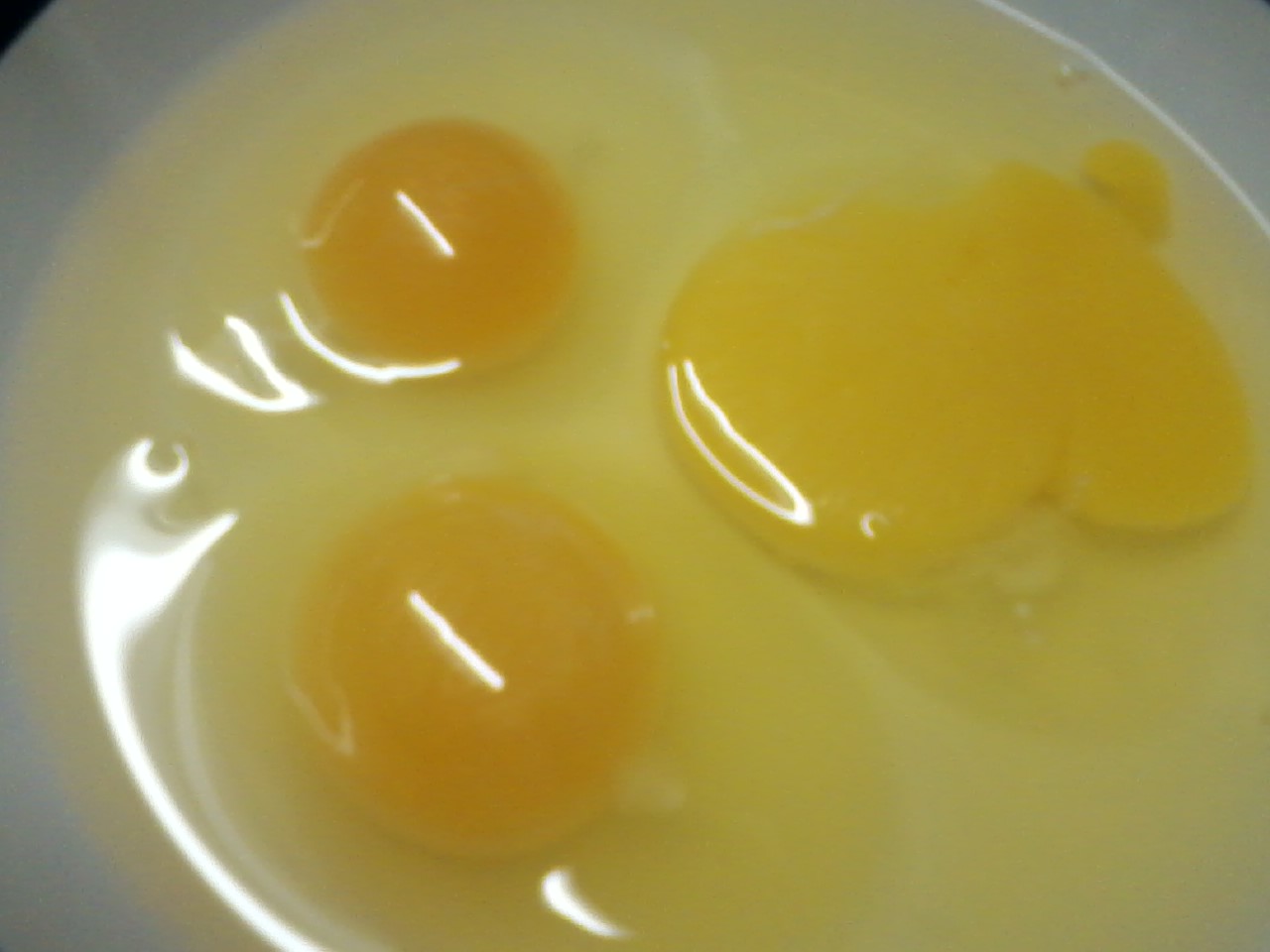 Our first two yolks compared to a commercial egg.