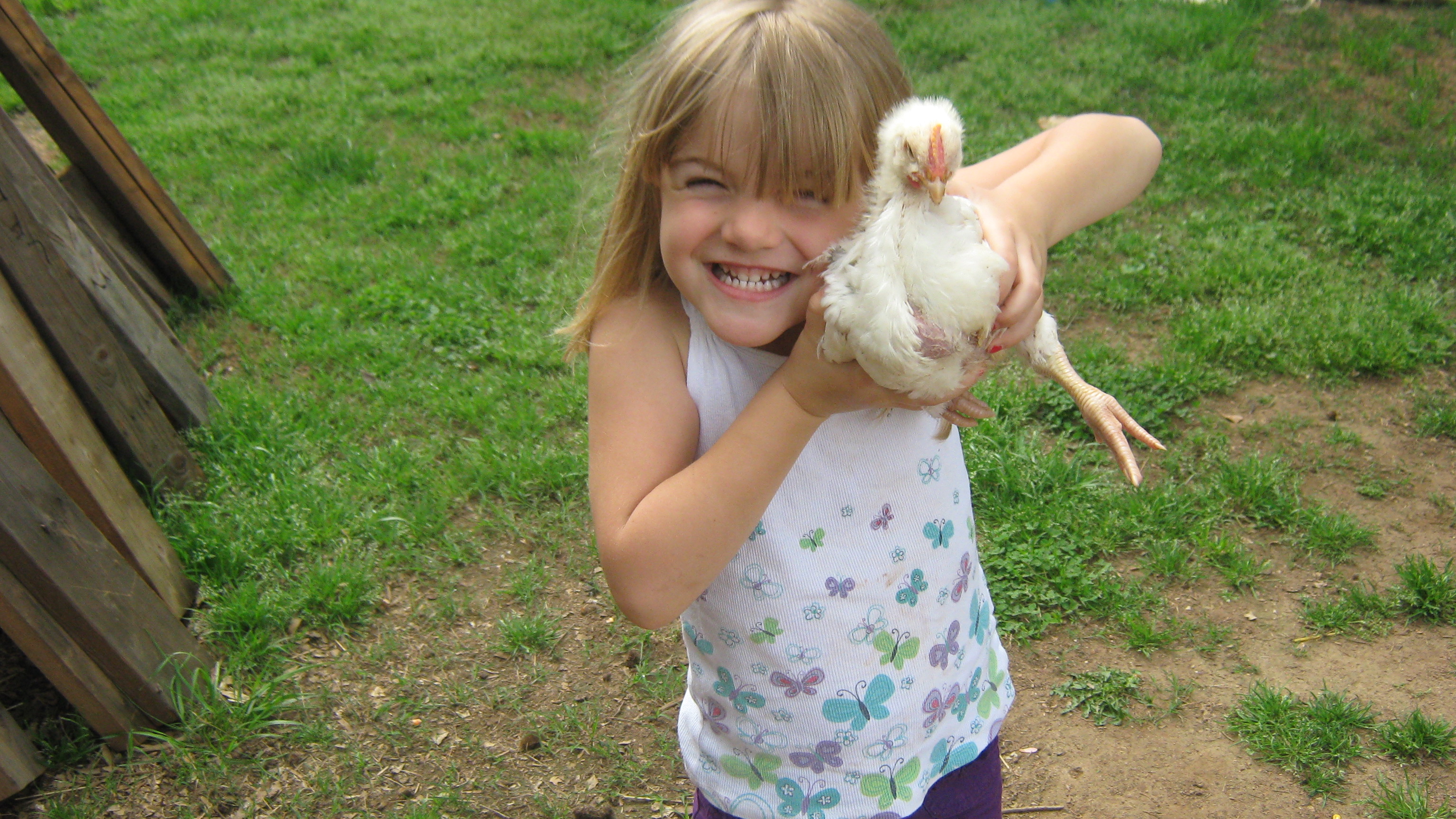 Our four year old Erika with one of our mystery chicks.