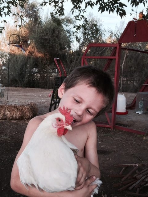 Our grandson Toby with Bob the hen.