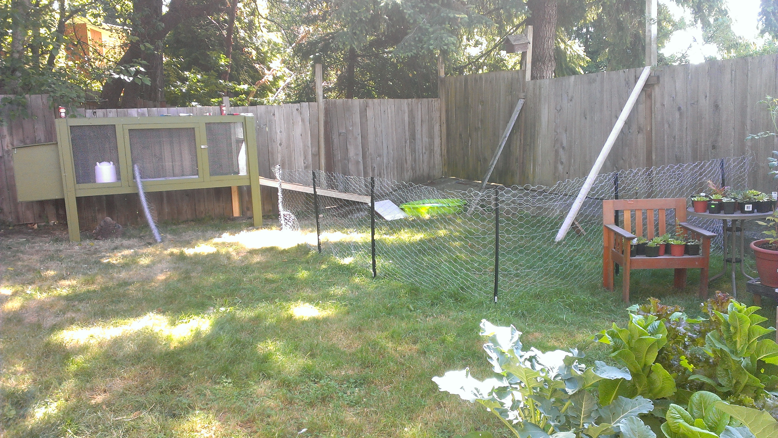 Our muscovy duck pen is almost ready!