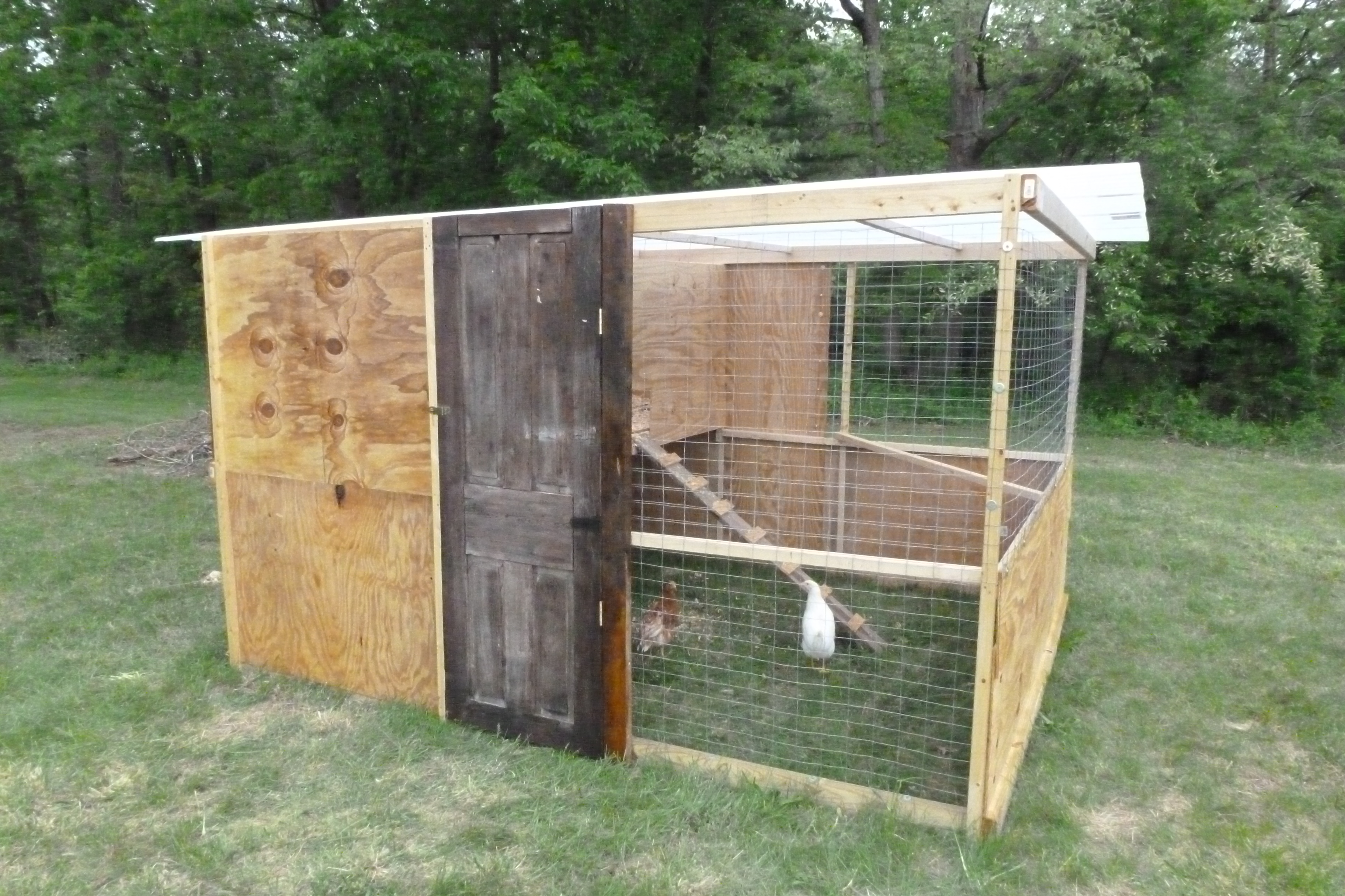 Our new 8'x10' soon-to-be chicken tractor (just add wheels!) 4'x8' coop, 8'x10' run.
18hrs labor. Used every scrap of wood we had laying around and bought the rest ... 
My favorite feature is the old door (center) that has been sitting in our yard for years :)
Coated in linseed oil :)