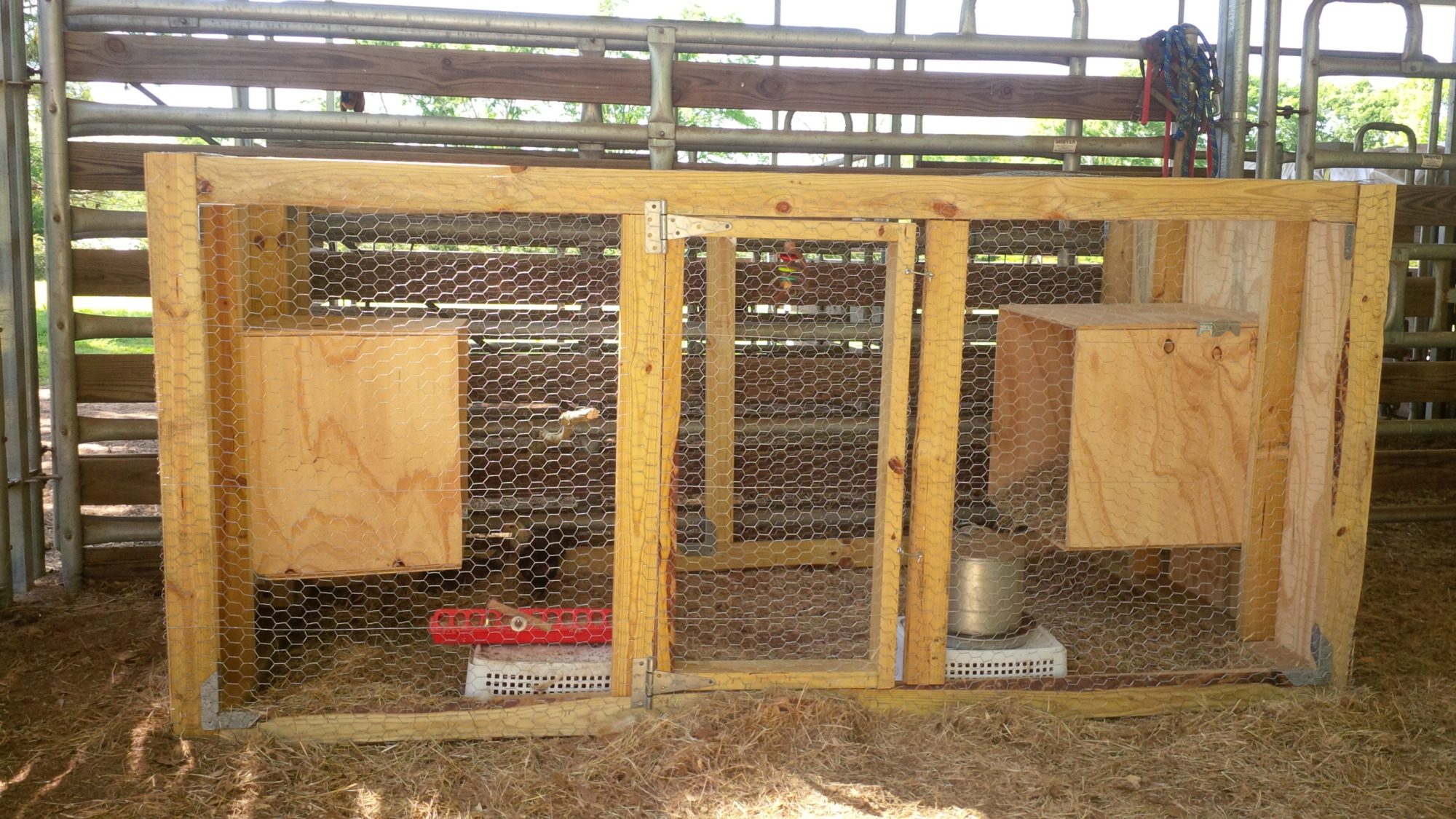 Our new chicken coup. My son and I built it to raise chicks in.