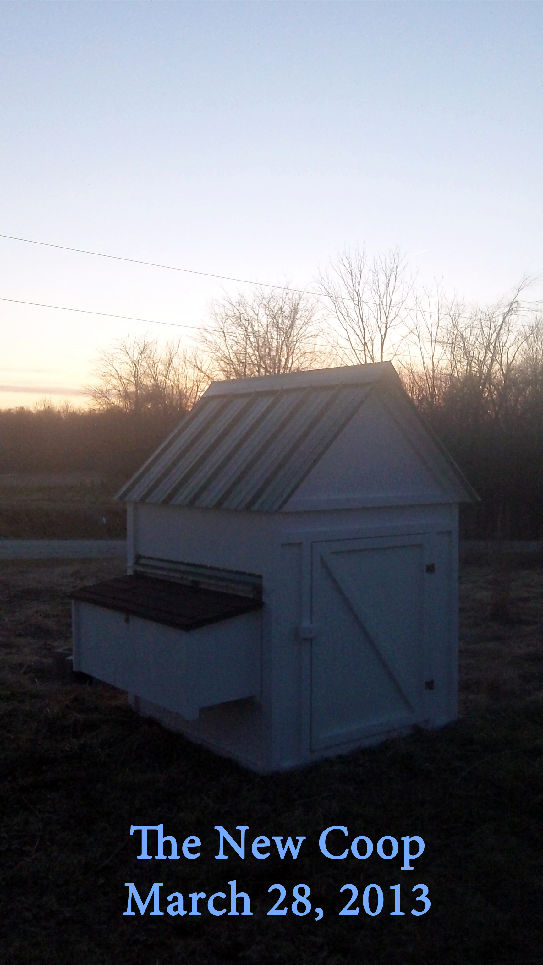 Our new coop!