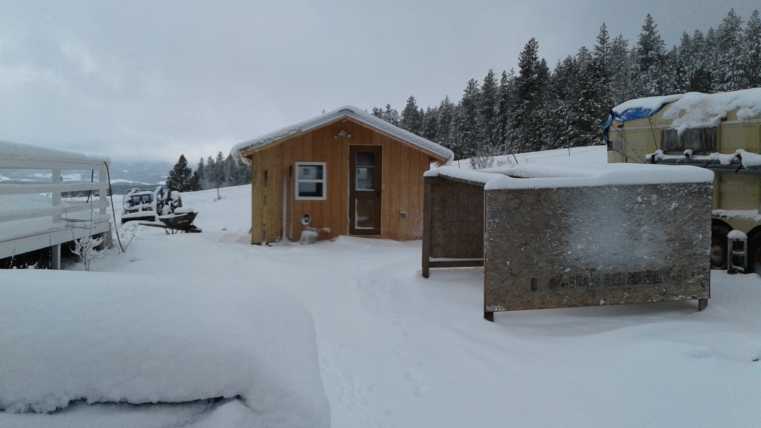 Our new duck house is done!! YA!