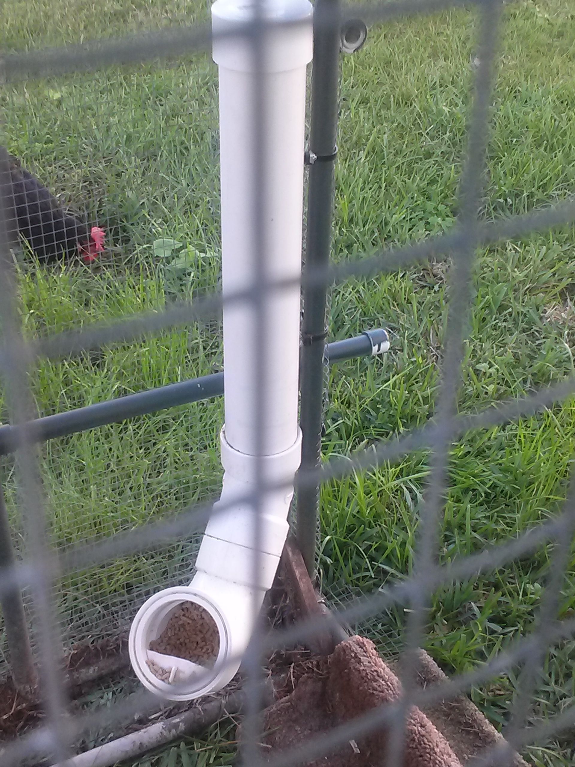 Our new feeder.