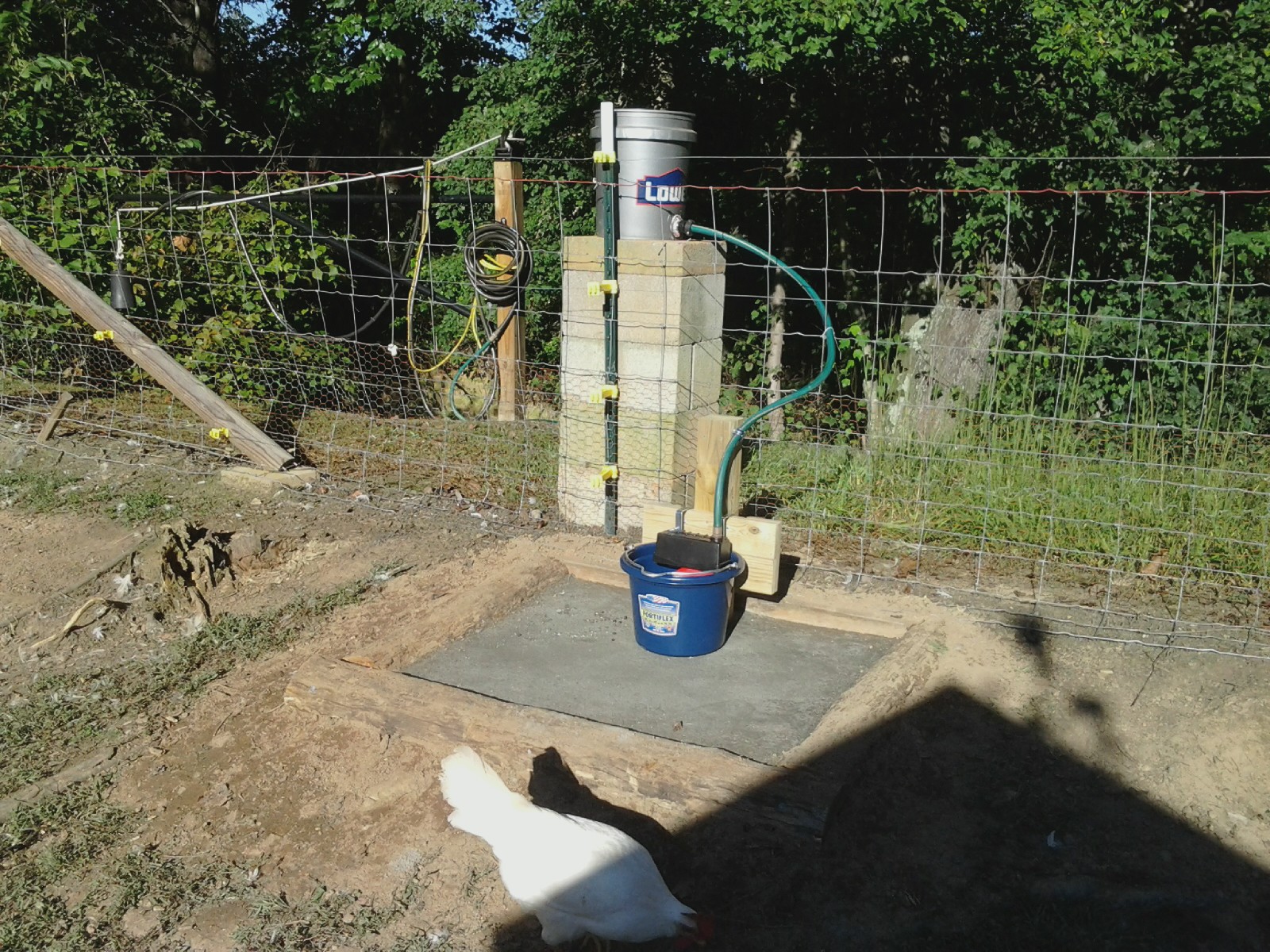 Our newest auto waterer