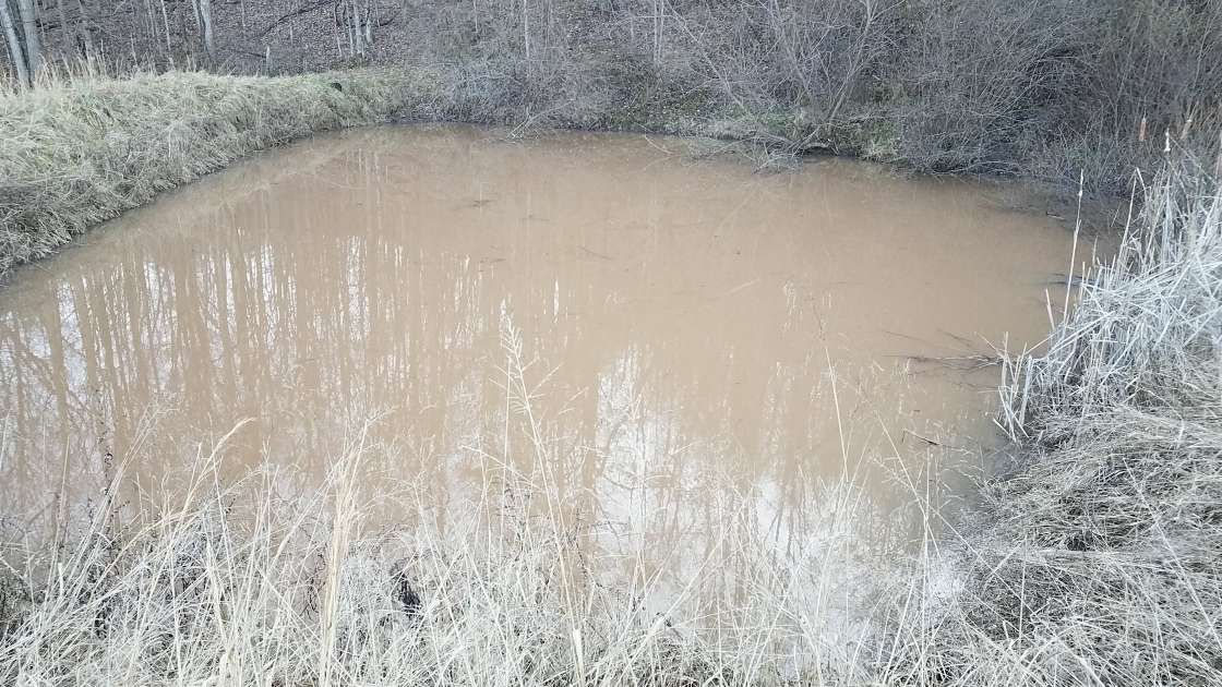 Our pond after the recent rain…