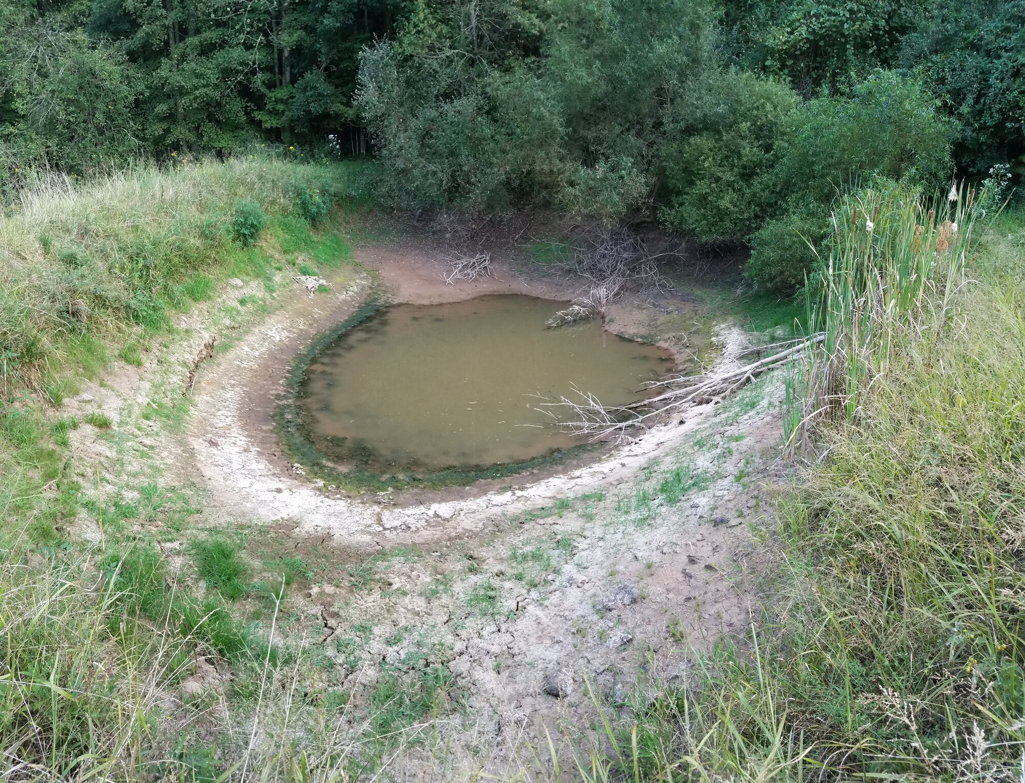 Our pond is almost dried out