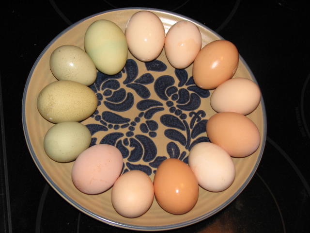 Our rainbow.... work in progress