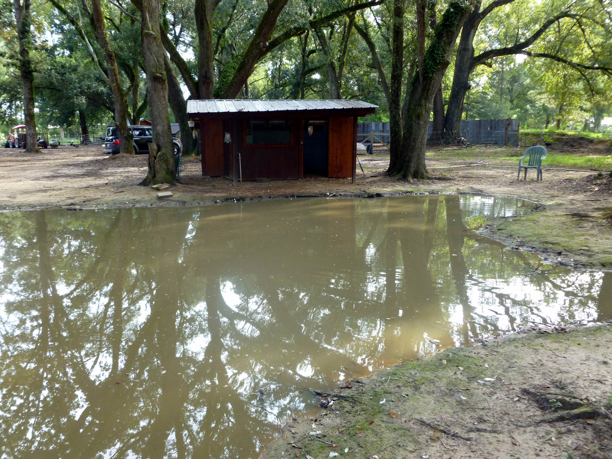 Our second duck/goose house and pond. This pond is only 2/3 the size of the original, but does the job.