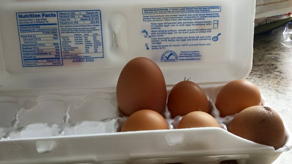 our smallest chicken lays larger than regular eggs but this one was ridiculous.  It had 2 yokes