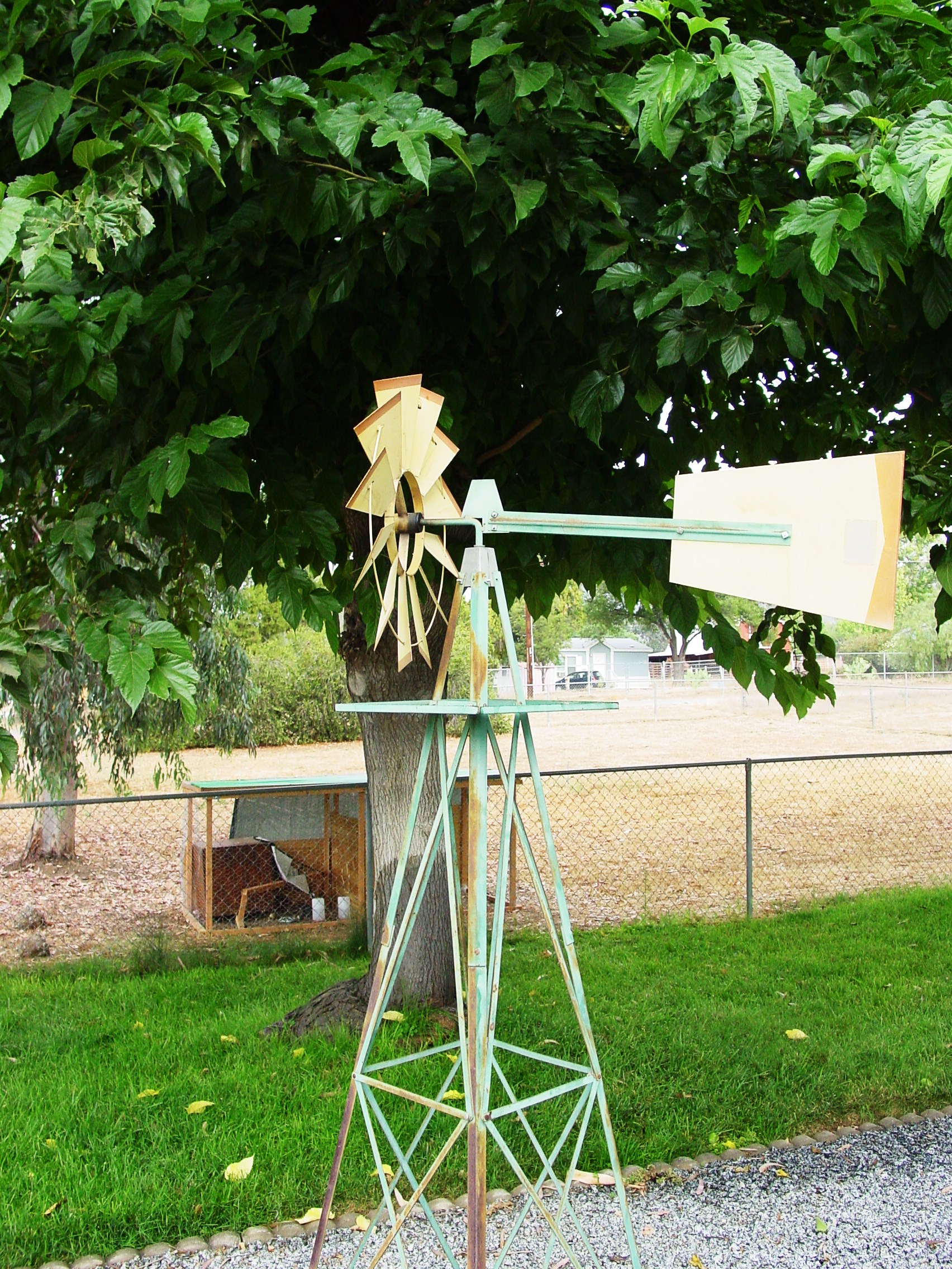 Our Windmill and Tractor Chick Nursery in the Back...