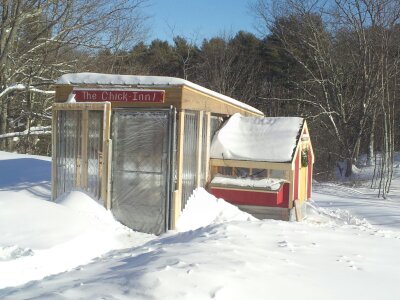 Our winterized chicken run. We had clear corrugated panels put on including a roof to give the girls ... Betsy, Roxy, Penny, Dolly, Bonney the rocks; Madeline, Claire, the mixed breeds and Brewster the Rooster protection from the wind & snow. The panels are removable but for now give them a nice greenhouse effect with the low sun until spring comes during this very cold Maine winter. Their house is small so this gives them room to stretch their drumsticks. They also get to free range when they please with a watchful eye for hawks and eagles.