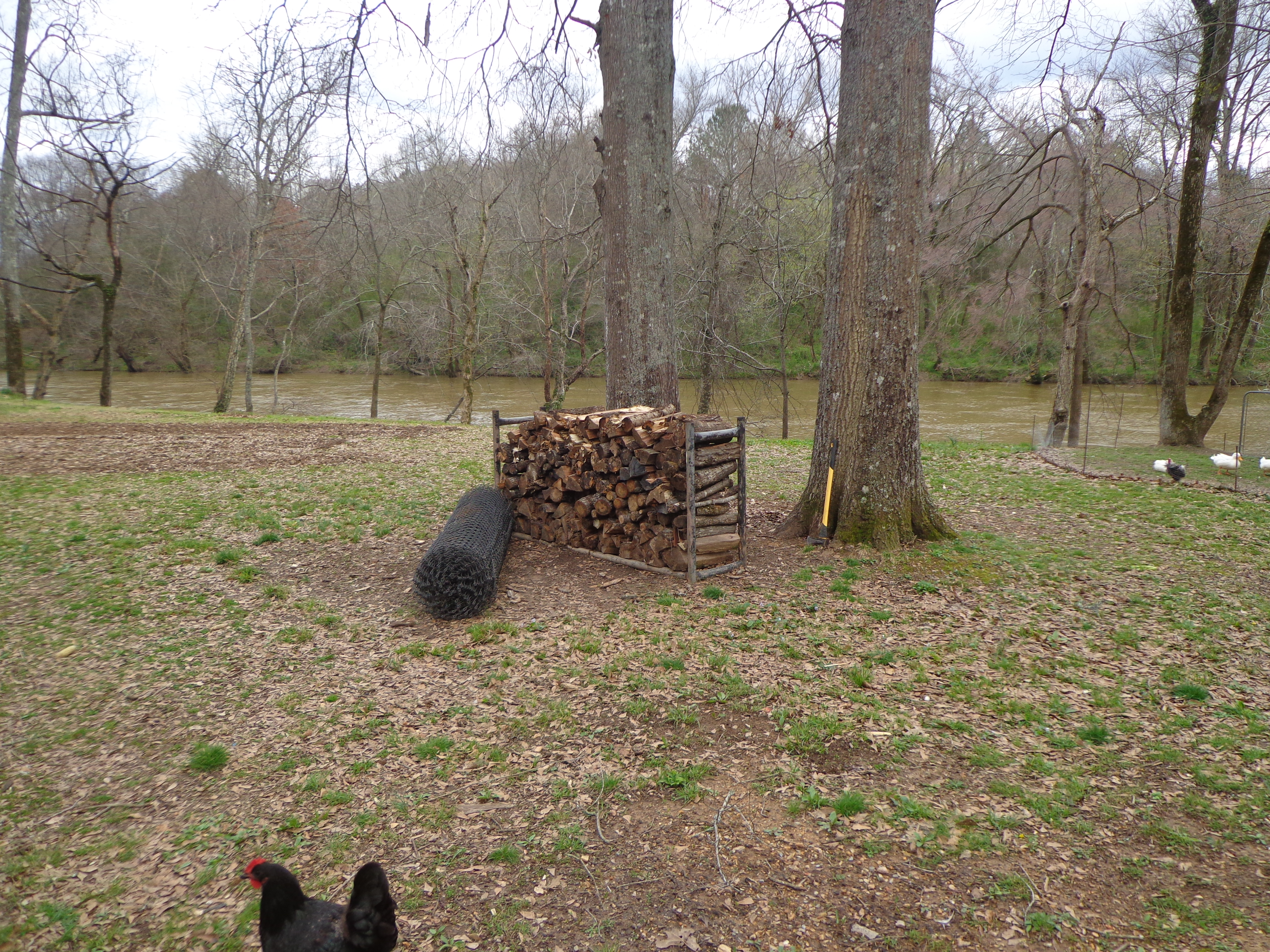 Our woodpile at the end of March. As you can tell from my Feb .photo, we had a pretty cold winter this year.