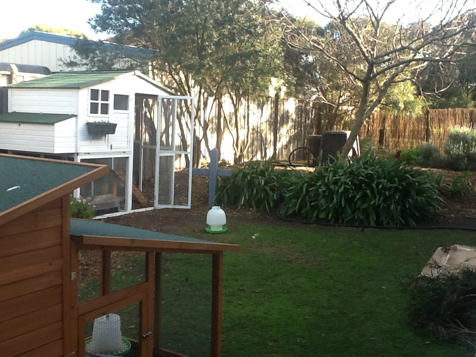 Our yard with our two coops