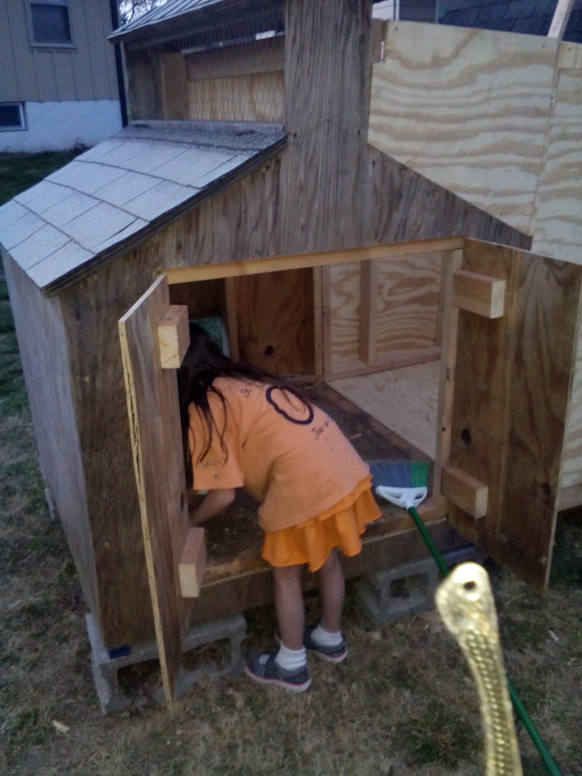 Our youngest cleaning the coop. She begged. Yes, begged to clean it. Let's see how long that lasts! It's not great for middle aged backs to work in there (I'm 25 plus shipping and handling) but it works. The chicks have room to roost as well as wander around aimlessly waiting for us to bring out the apples.