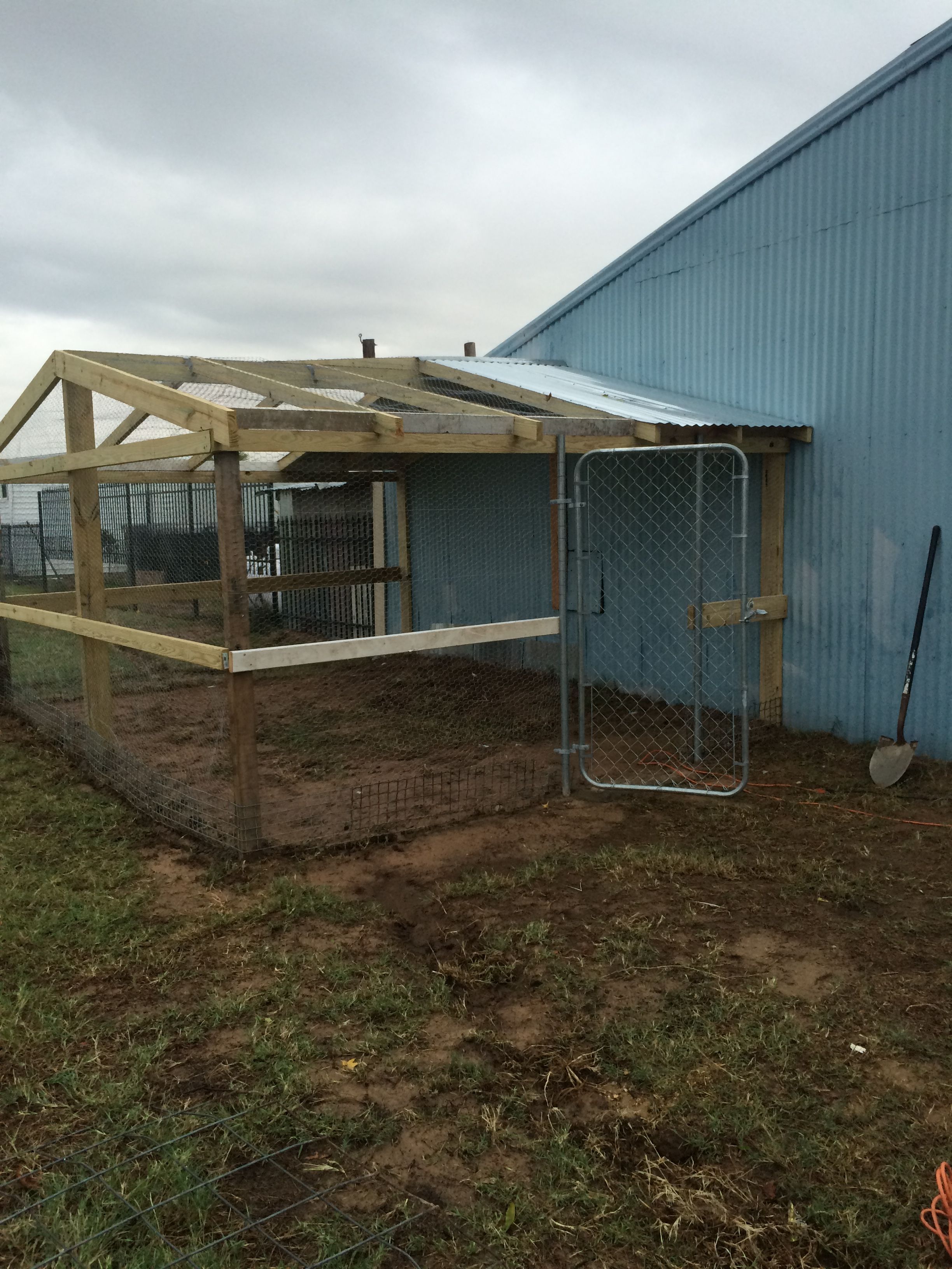 out side chicken run