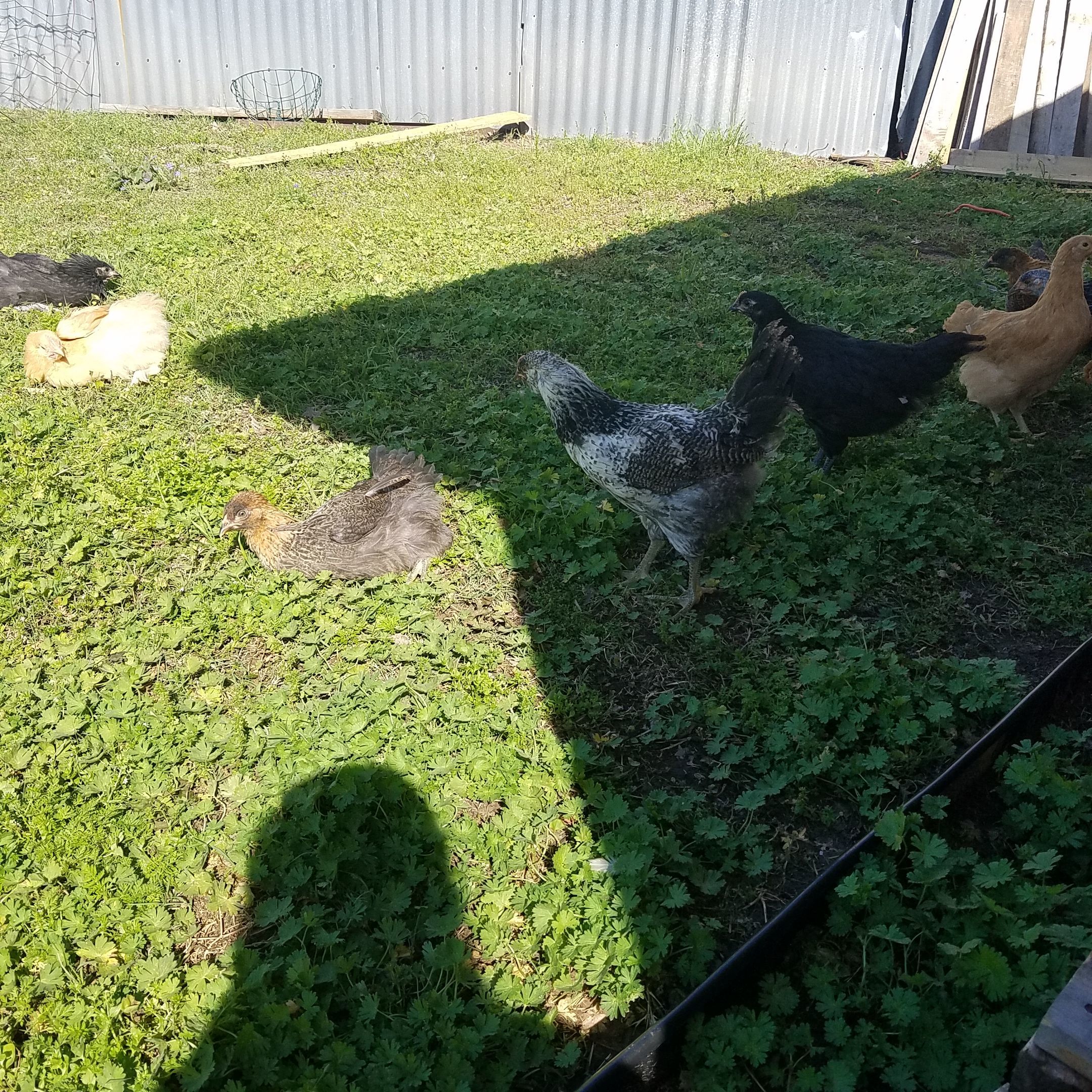 Outside time