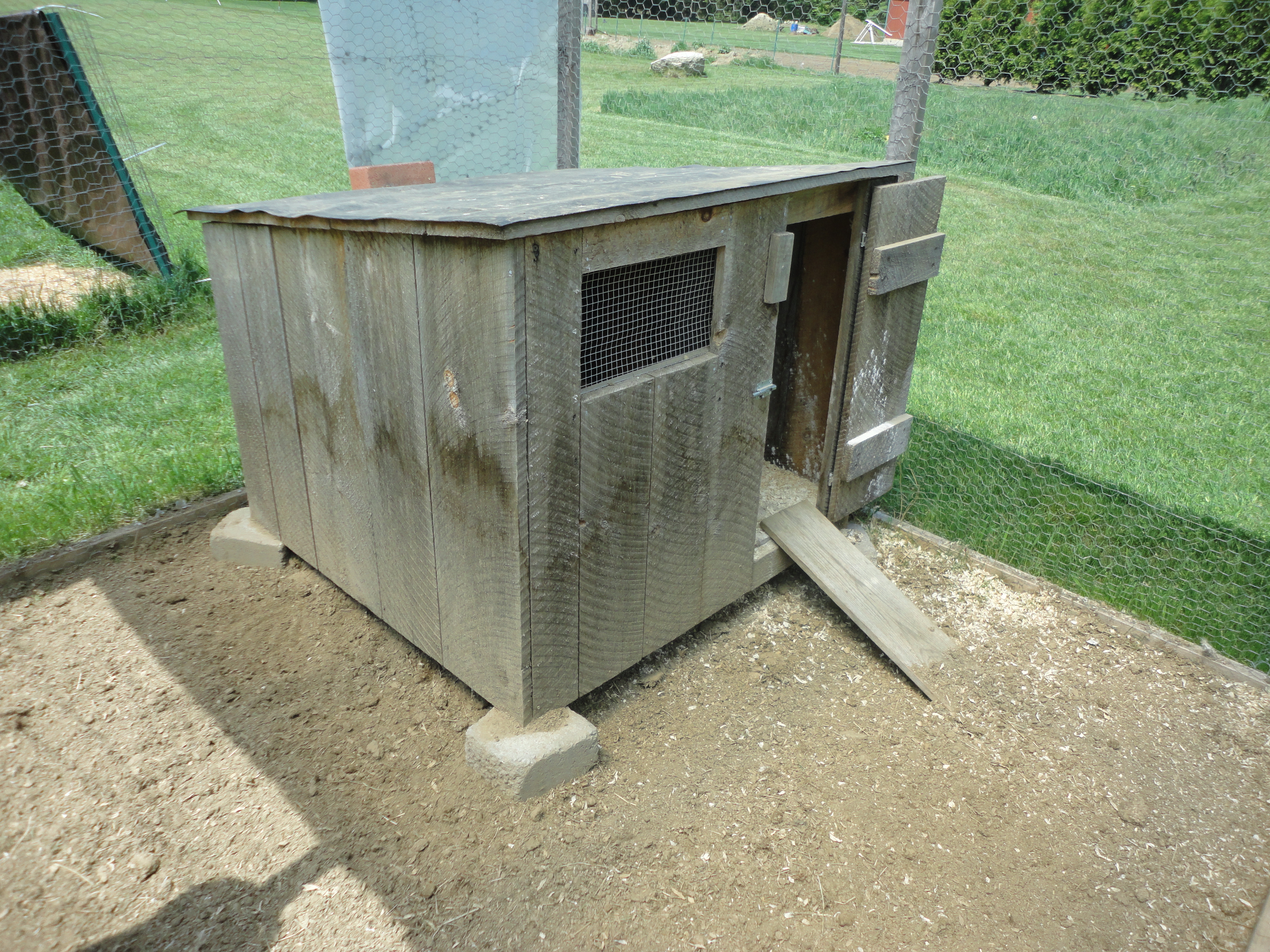Outside view of coop