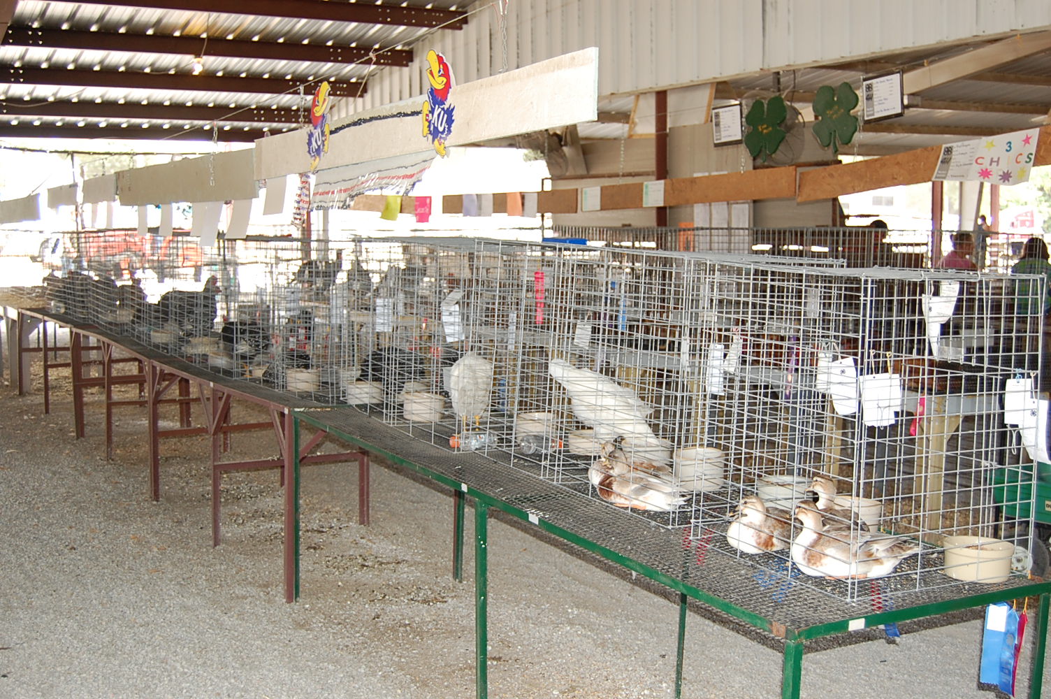 Over flow poultry area