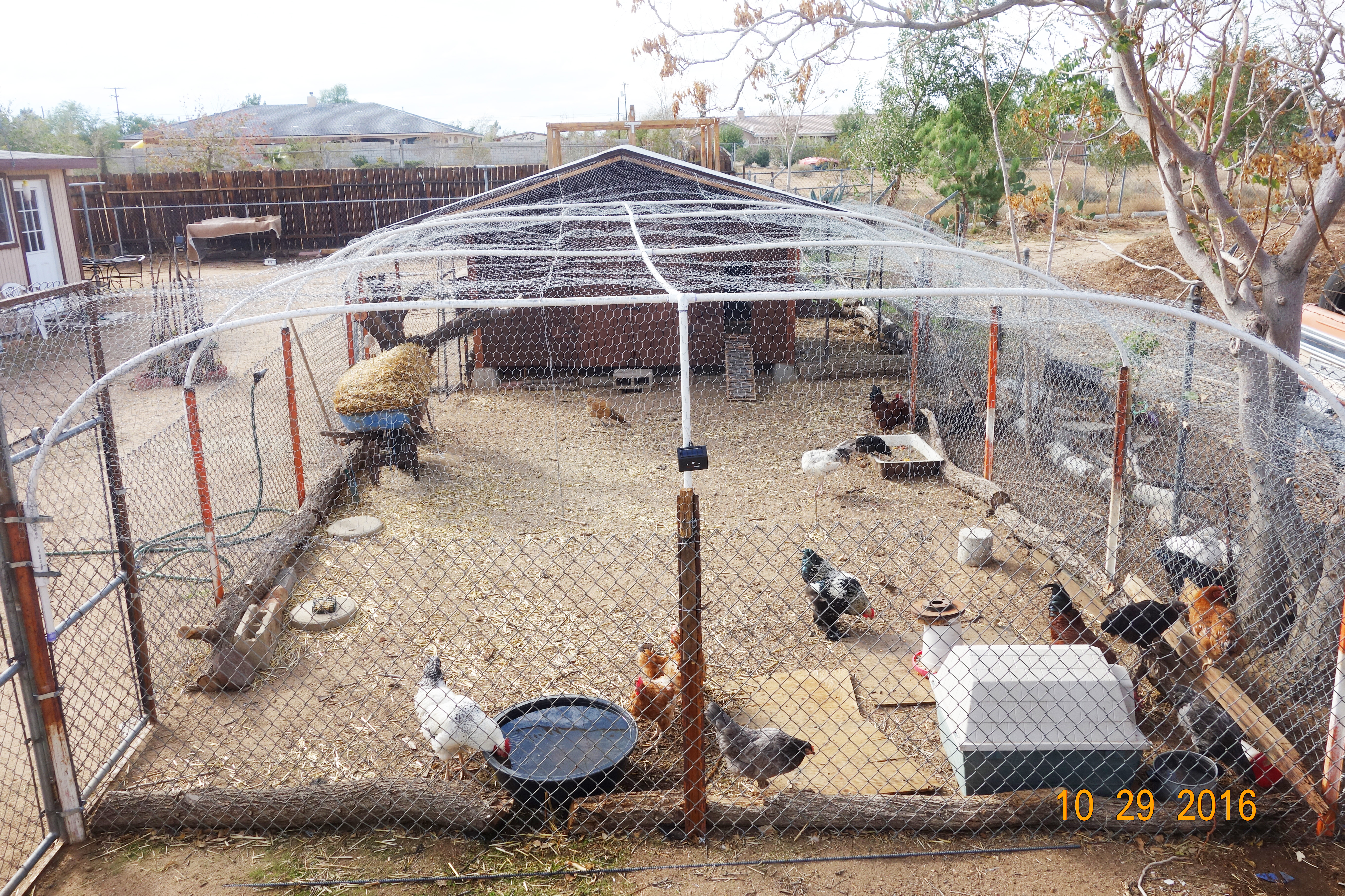 Overhead view of the coop and the run.