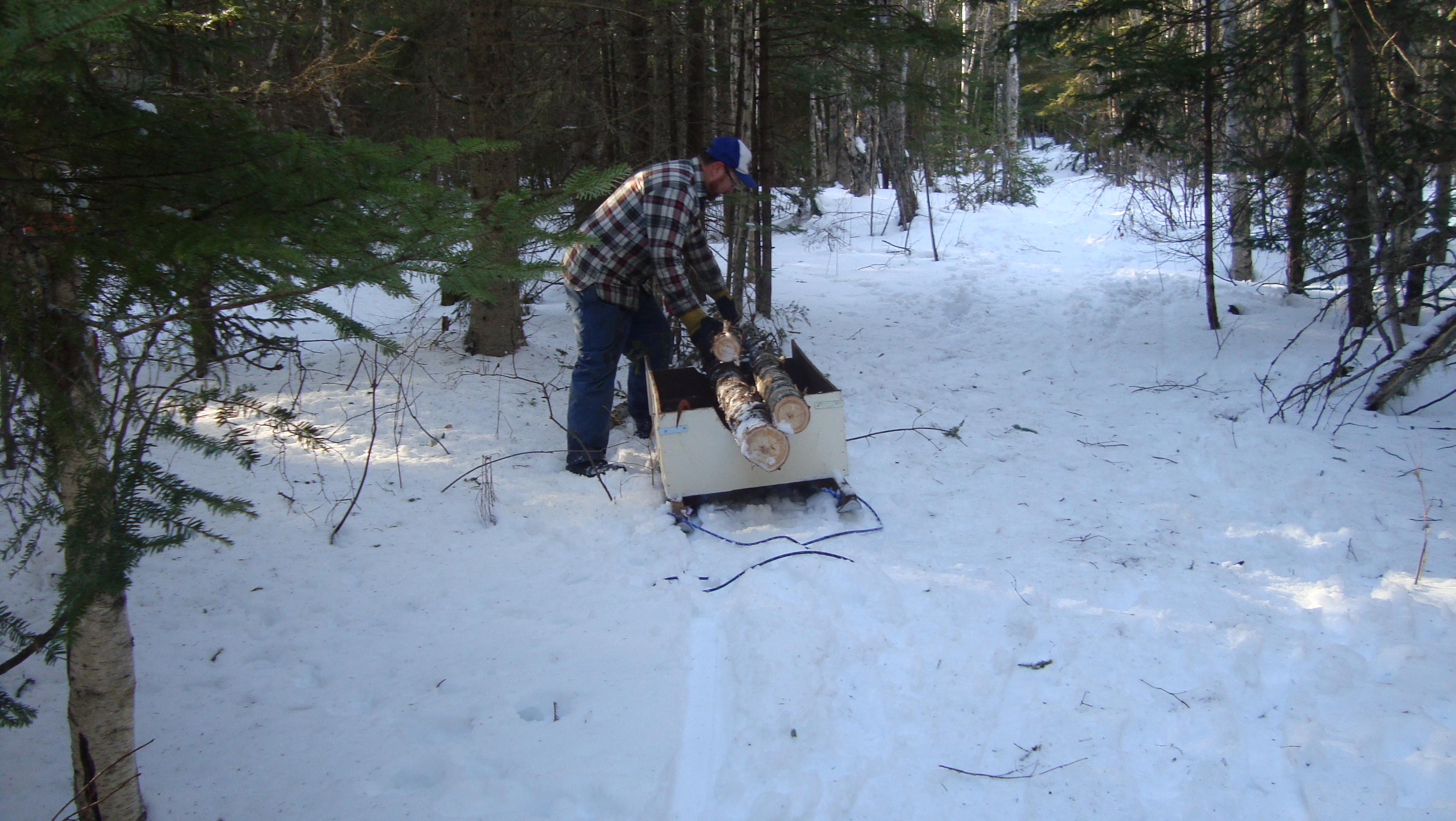 P. Pulling trees outof the woods to be stacked and peeled