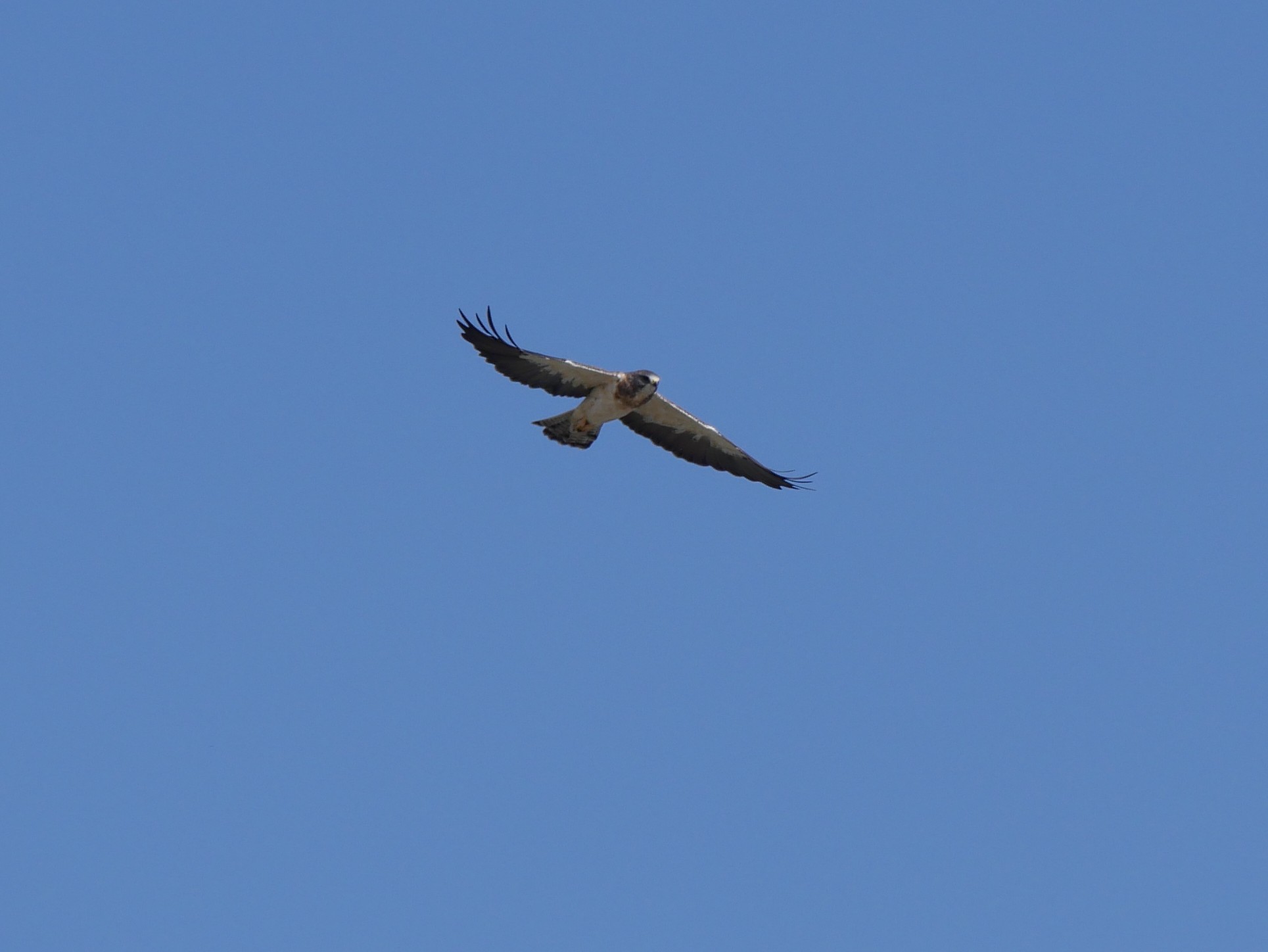 P1400381~2.JPG