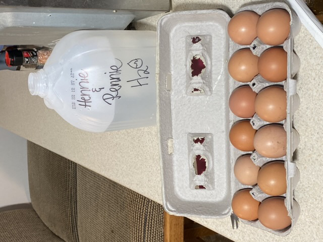 P_H_eggs.jpeg