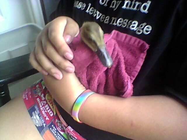 Pablo being held by a granddaughter after a bath.